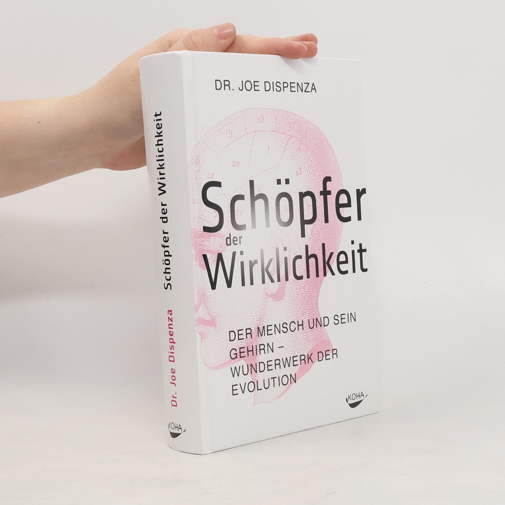 Joe Dispenza Schöpfer der Wirklichkeit