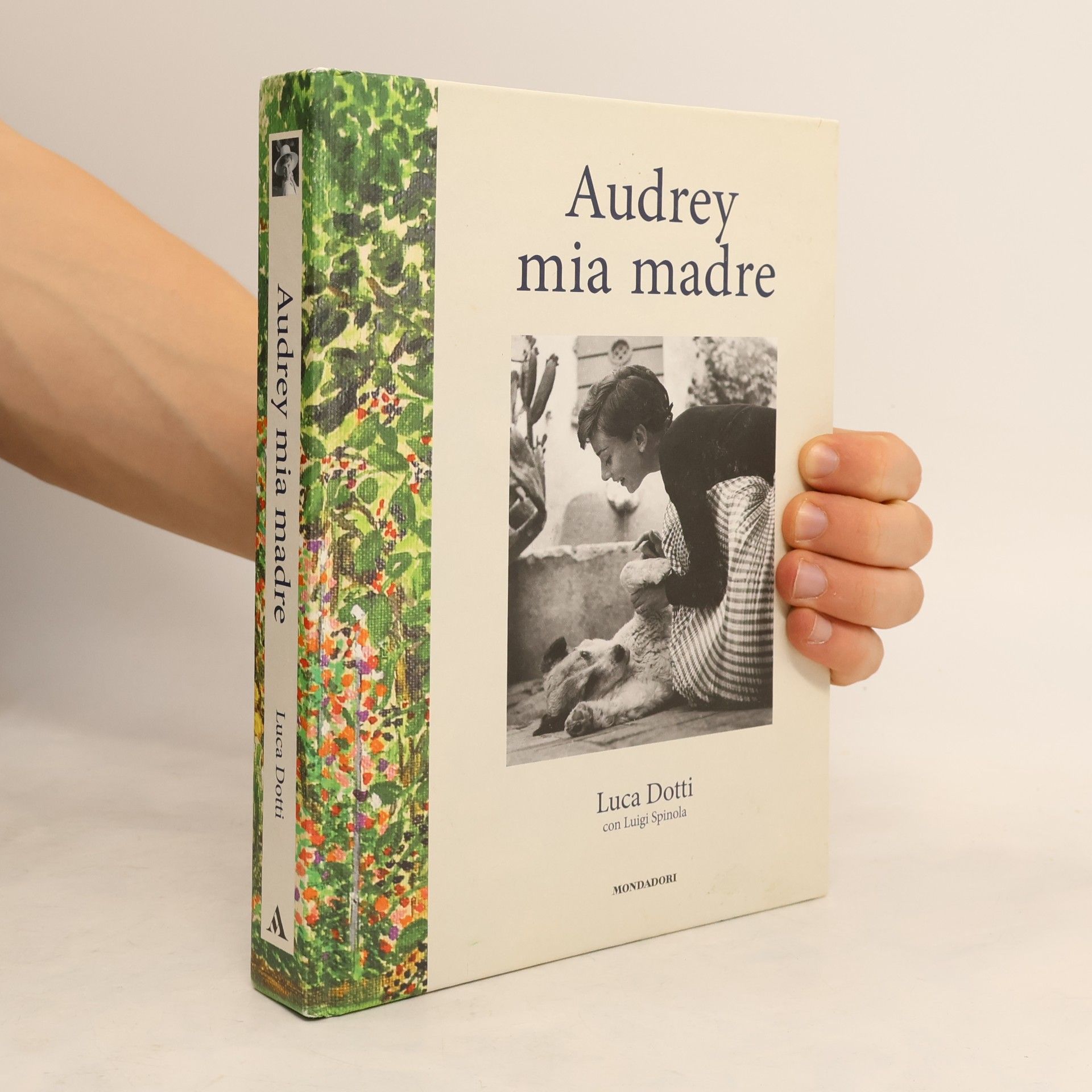 Luca Dotti Audrey mia madre