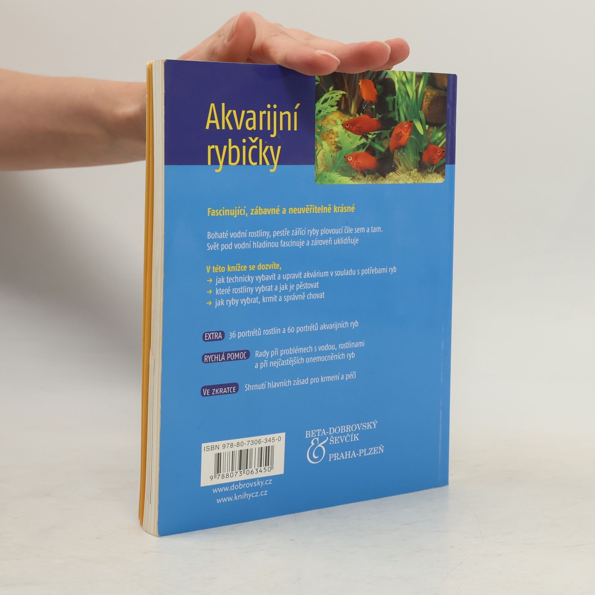 Angela Beck Akvarijní rybičky. Ryby & rostliny, vybavení akvária & péče