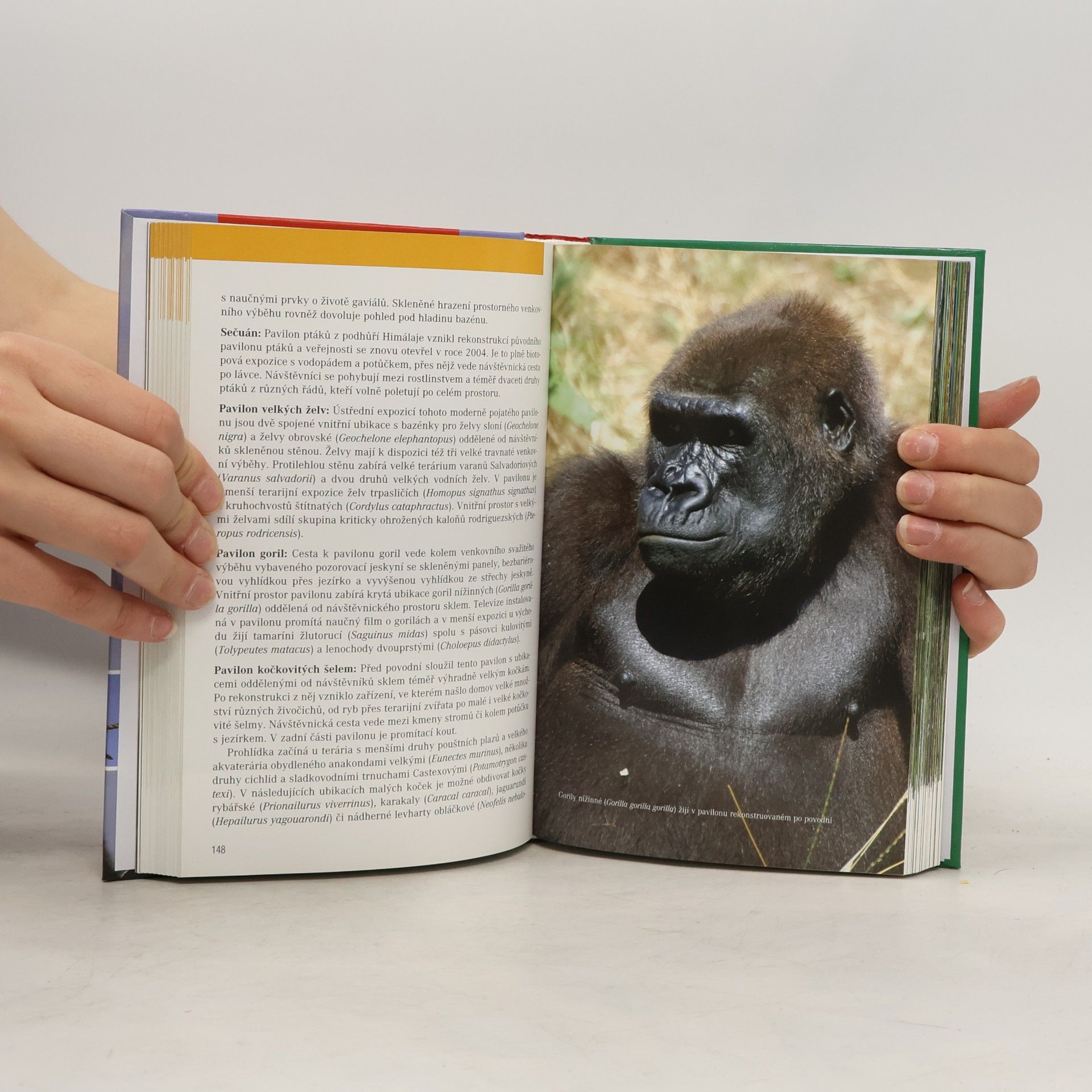 Michael Fokt Zoologické zahrady České republiky a okolních zemí