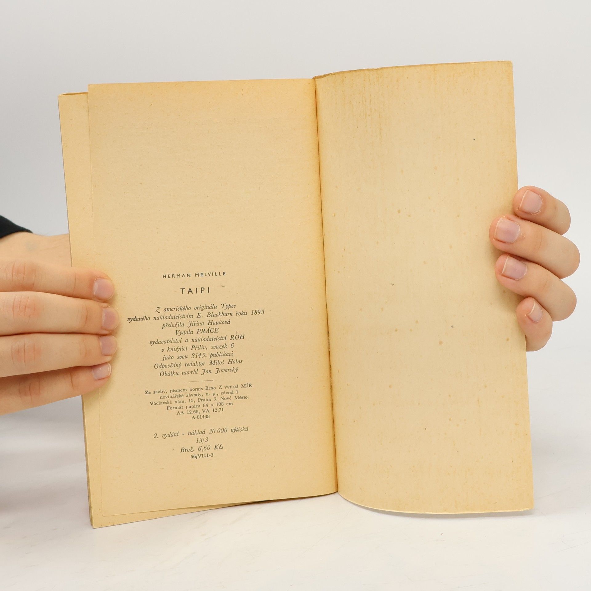 Herman Melville Taipi
