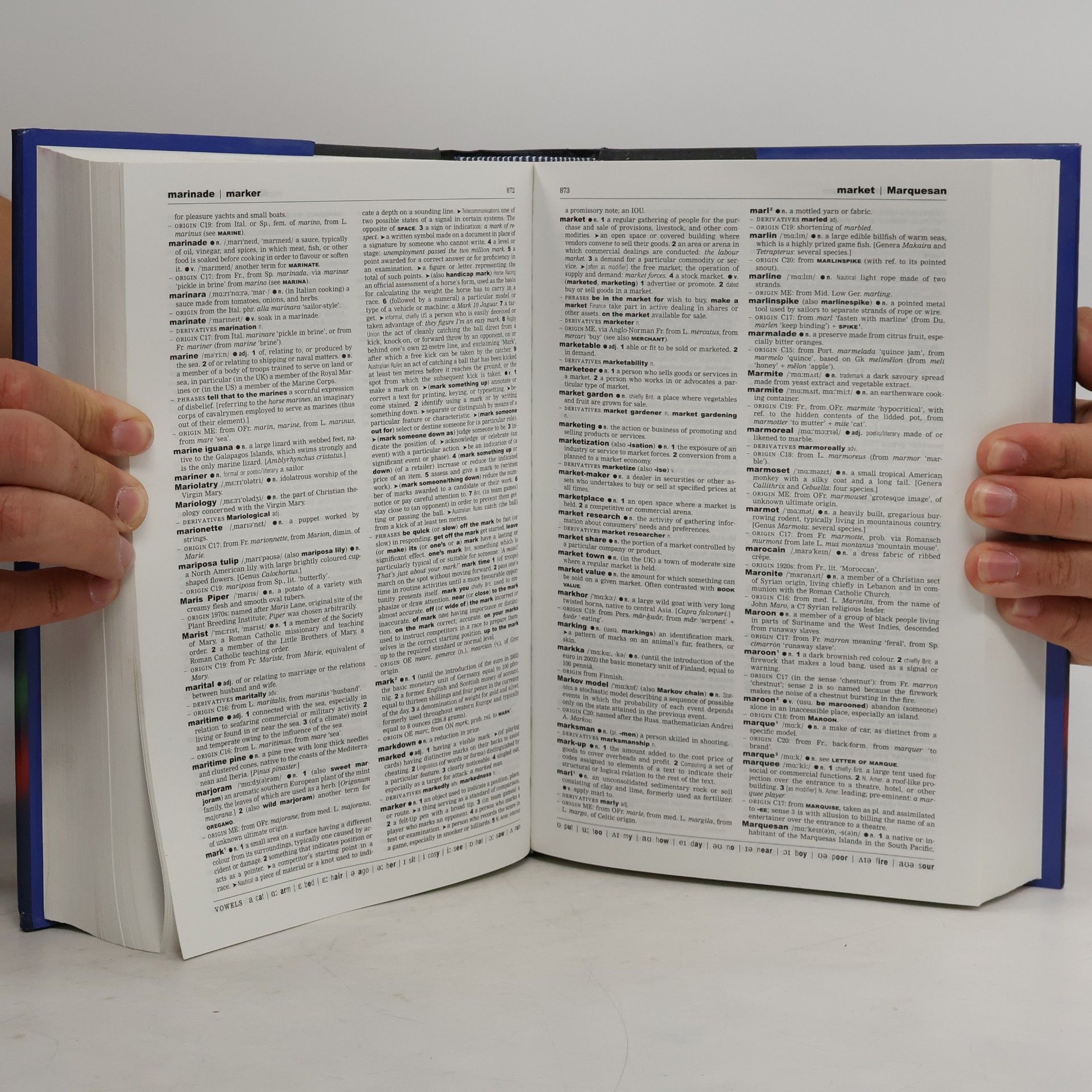 Judy Pearsall Concise Oxford English dictionary