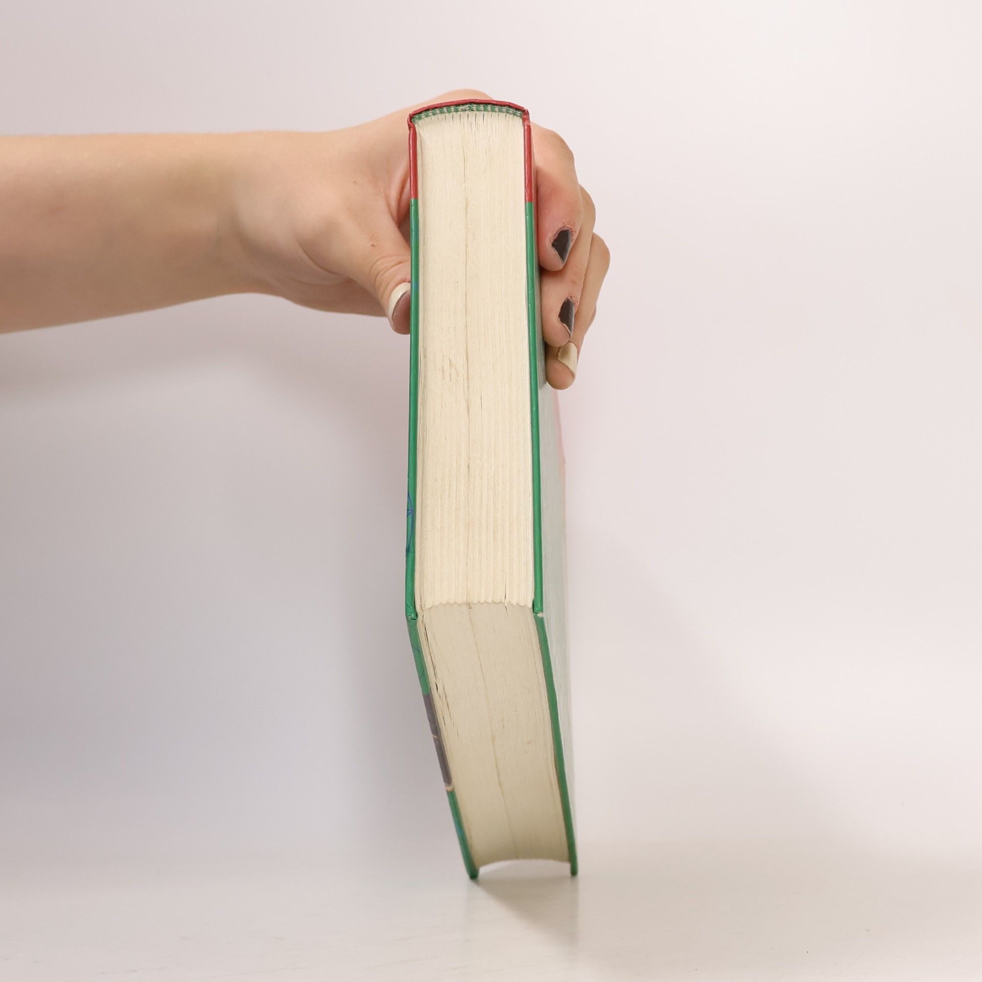 Helen Palmer Handboek enneagram