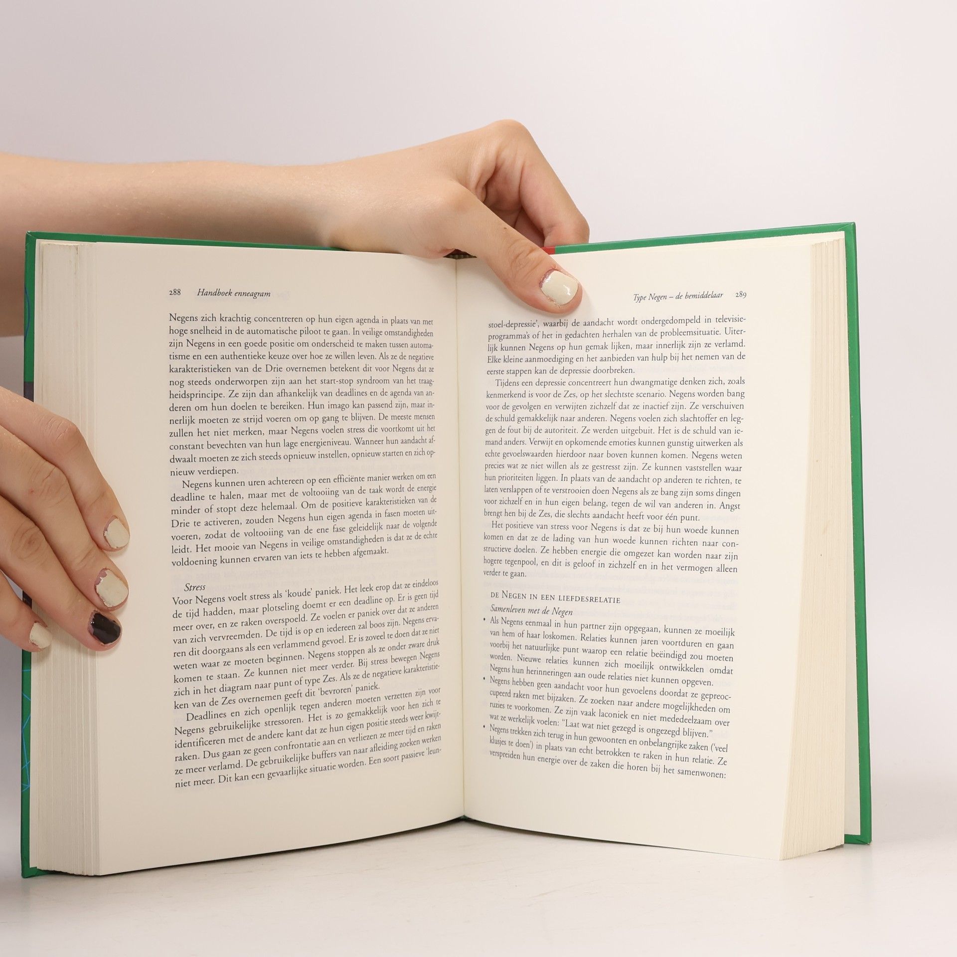 Helen Palmer Handboek enneagram