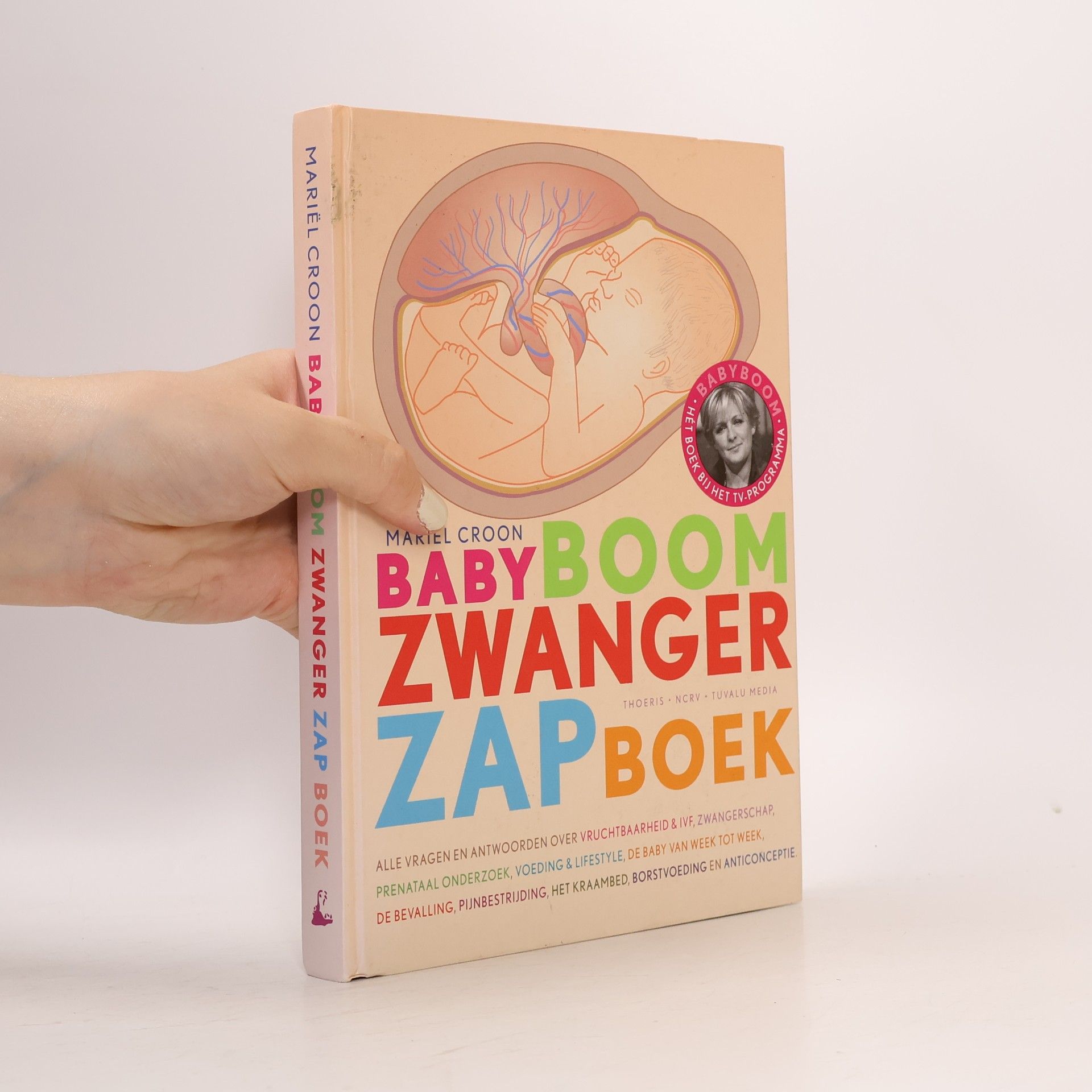 Mari͏̈el Croon Babyboom zwanger zap boek