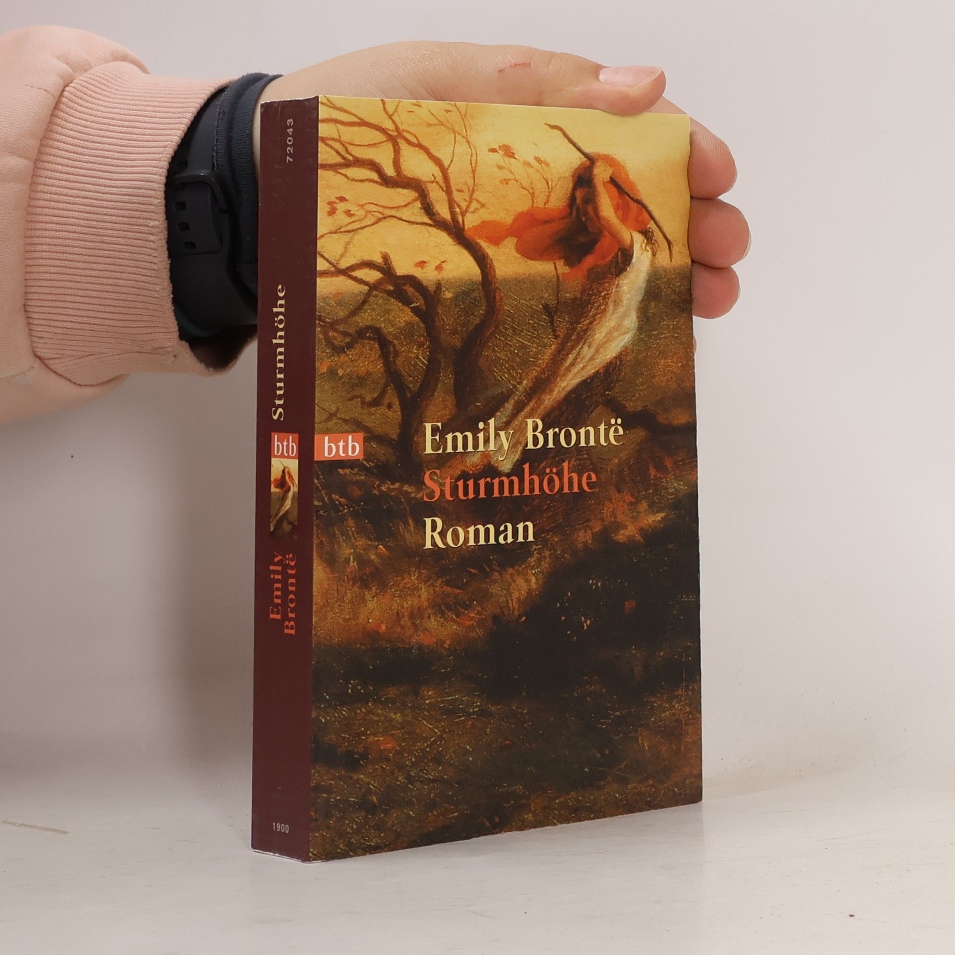 Emily Brontë Sturmhöhe