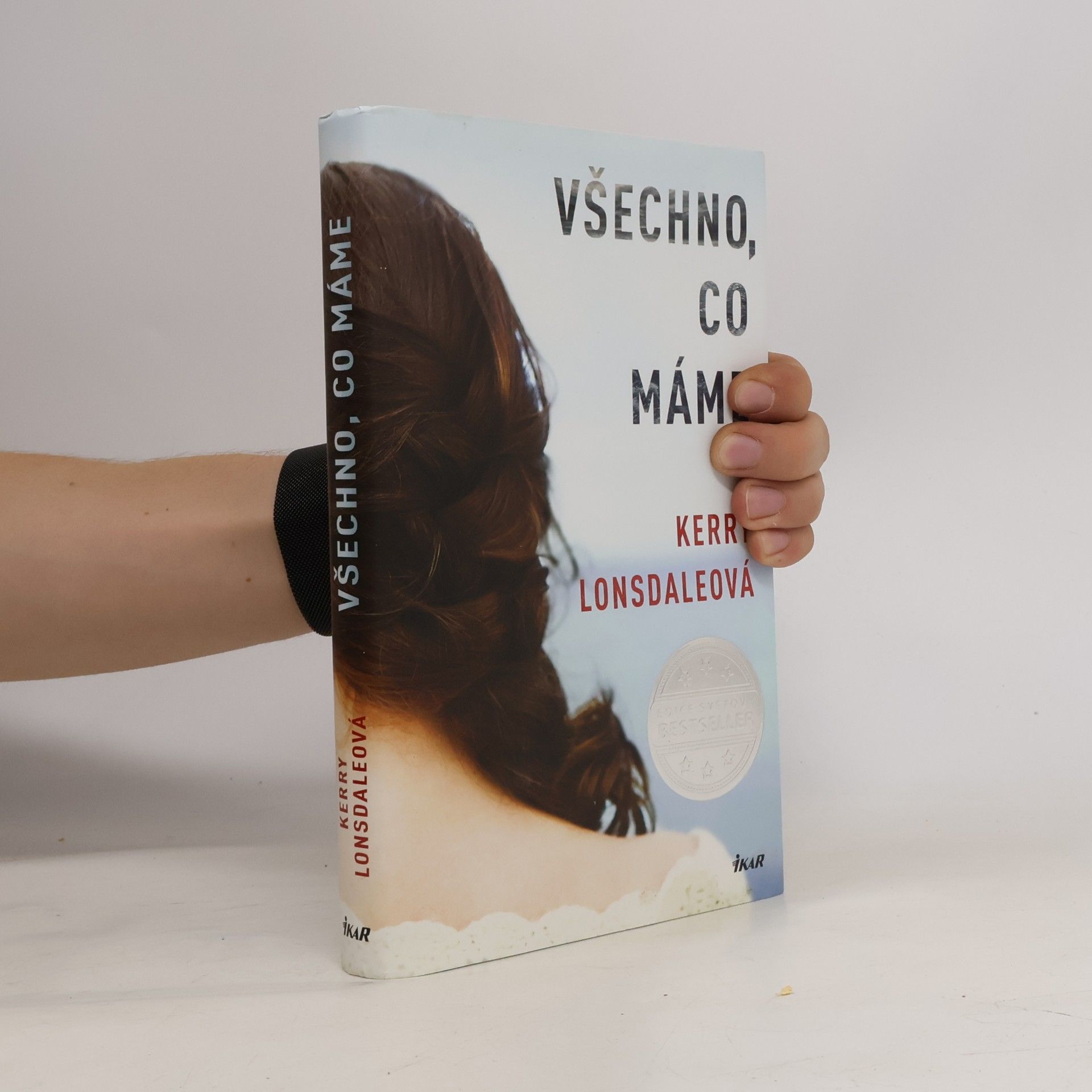Kerry Lonsdale Všechno, co máme