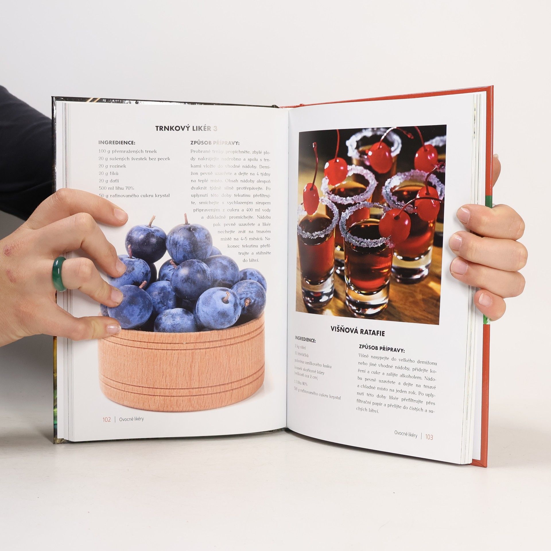 Bogdan Heinz Domácí likéry a tinktury : recepty, ingredience, tipy
