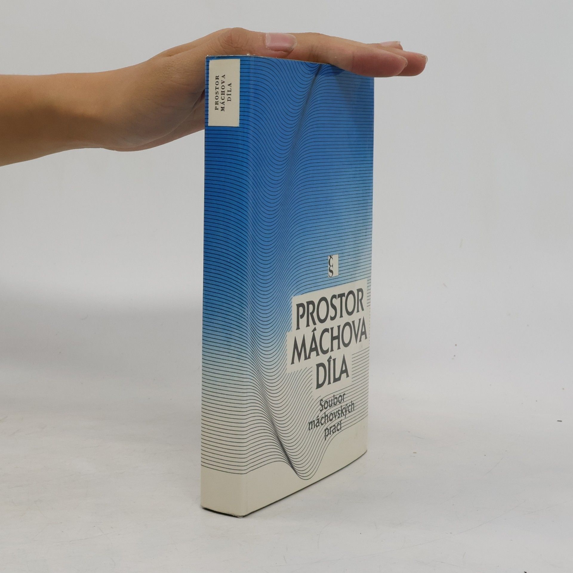 Jan Jiskra Prostor Máchova díla