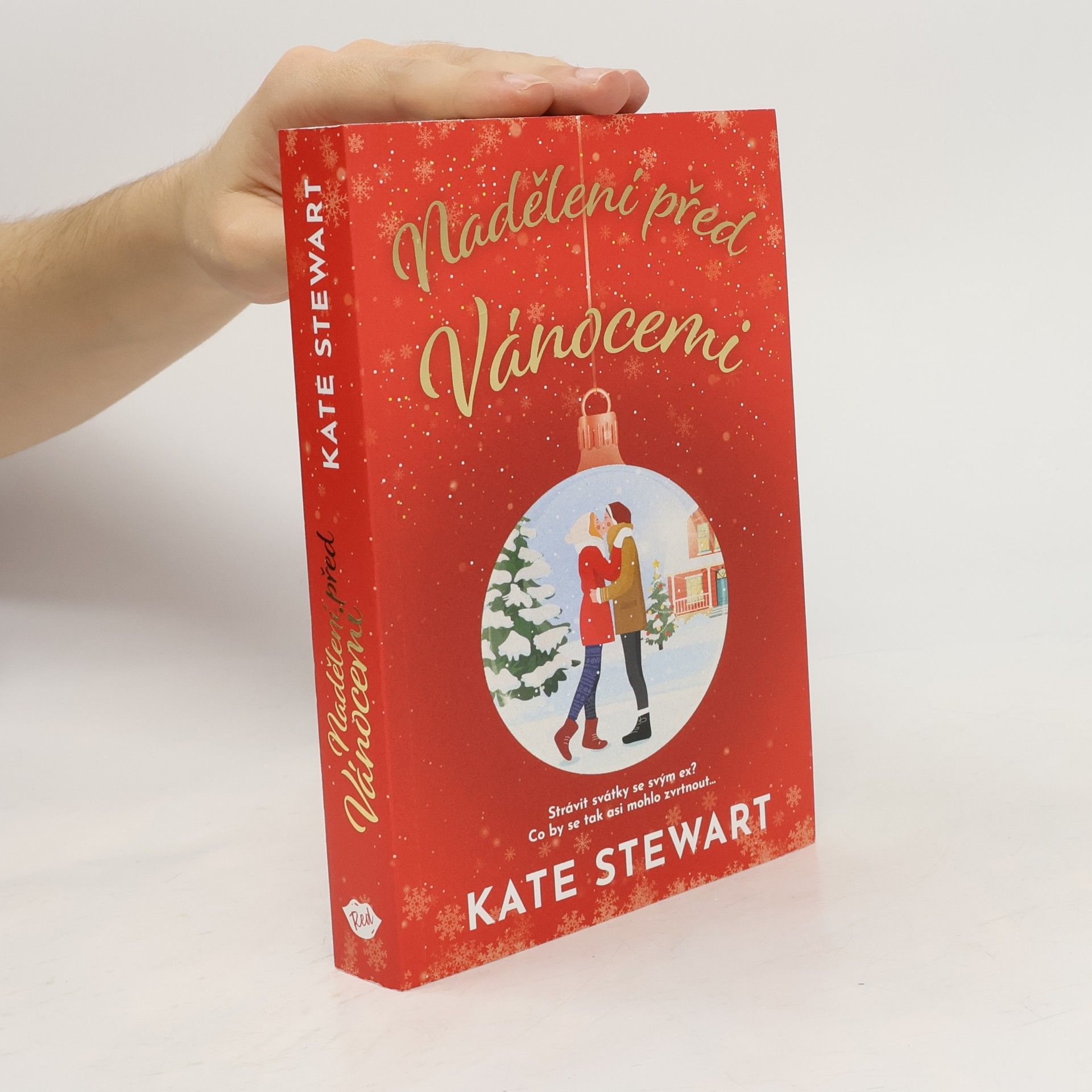 Kate Stewart Nadělení před Vánocemi