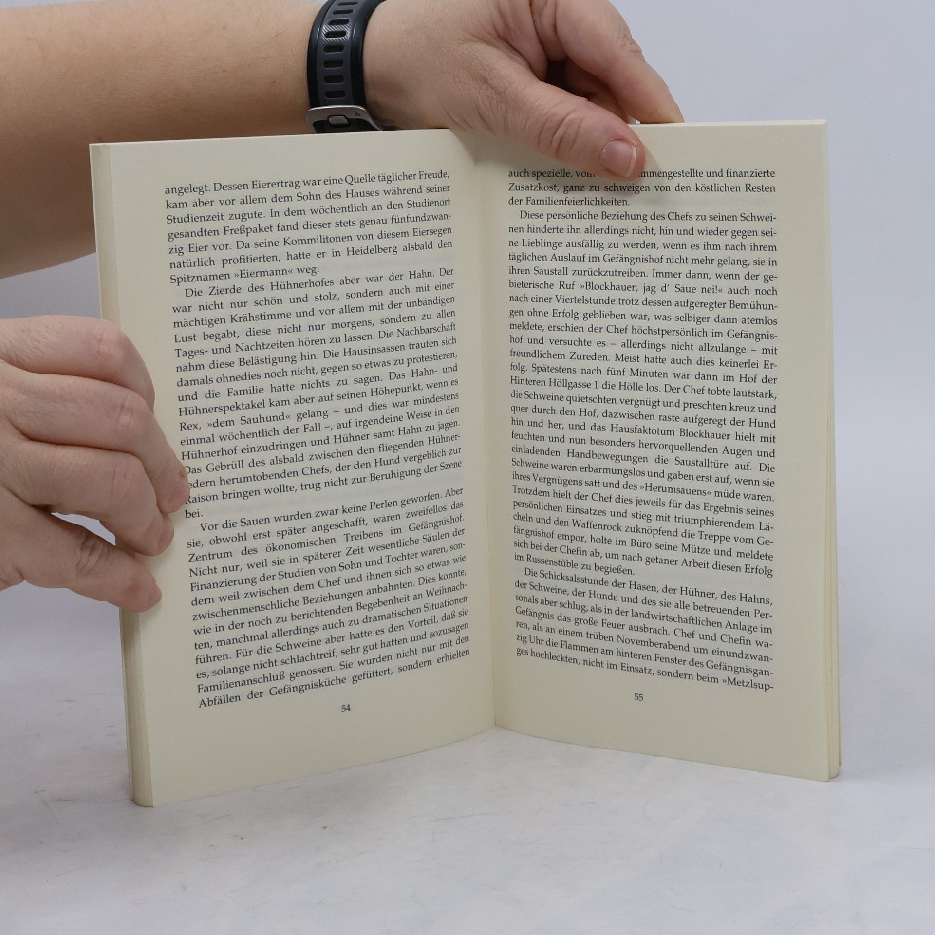 Gerhard Lang Kein Engel in der Höllgasse