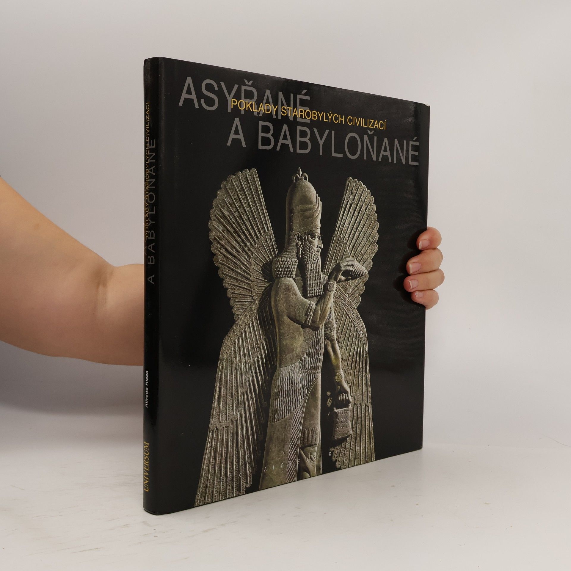 Alfredo Rizza Asyřané a Babyloňané - Poklady starobylých civilizací