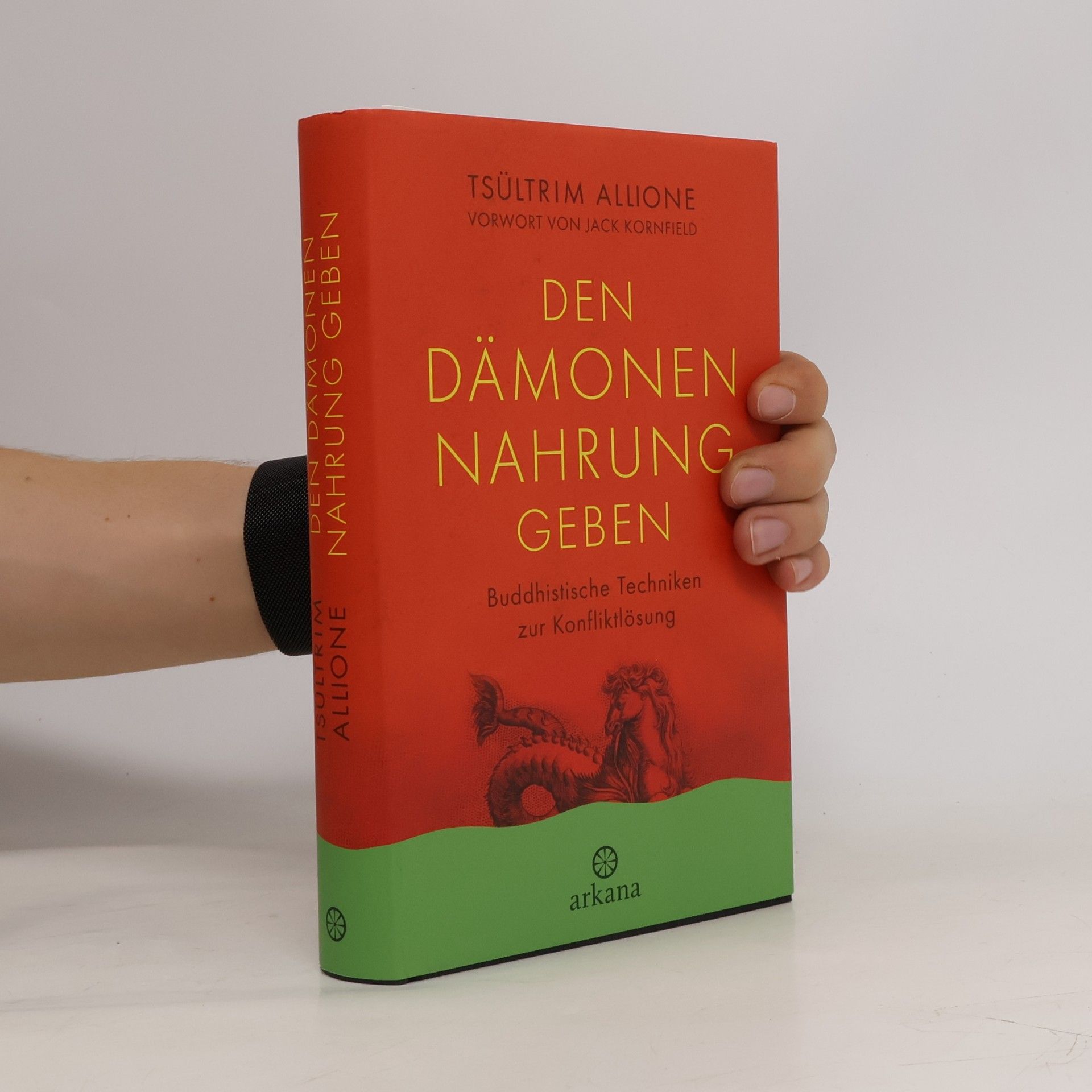 Tsültrim Allione Den Dämonen Nahrung geben
