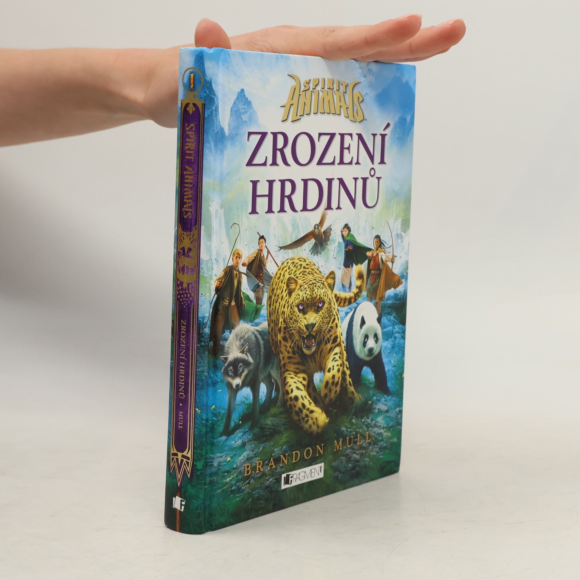 Brandon Mull Zrození hrdinů