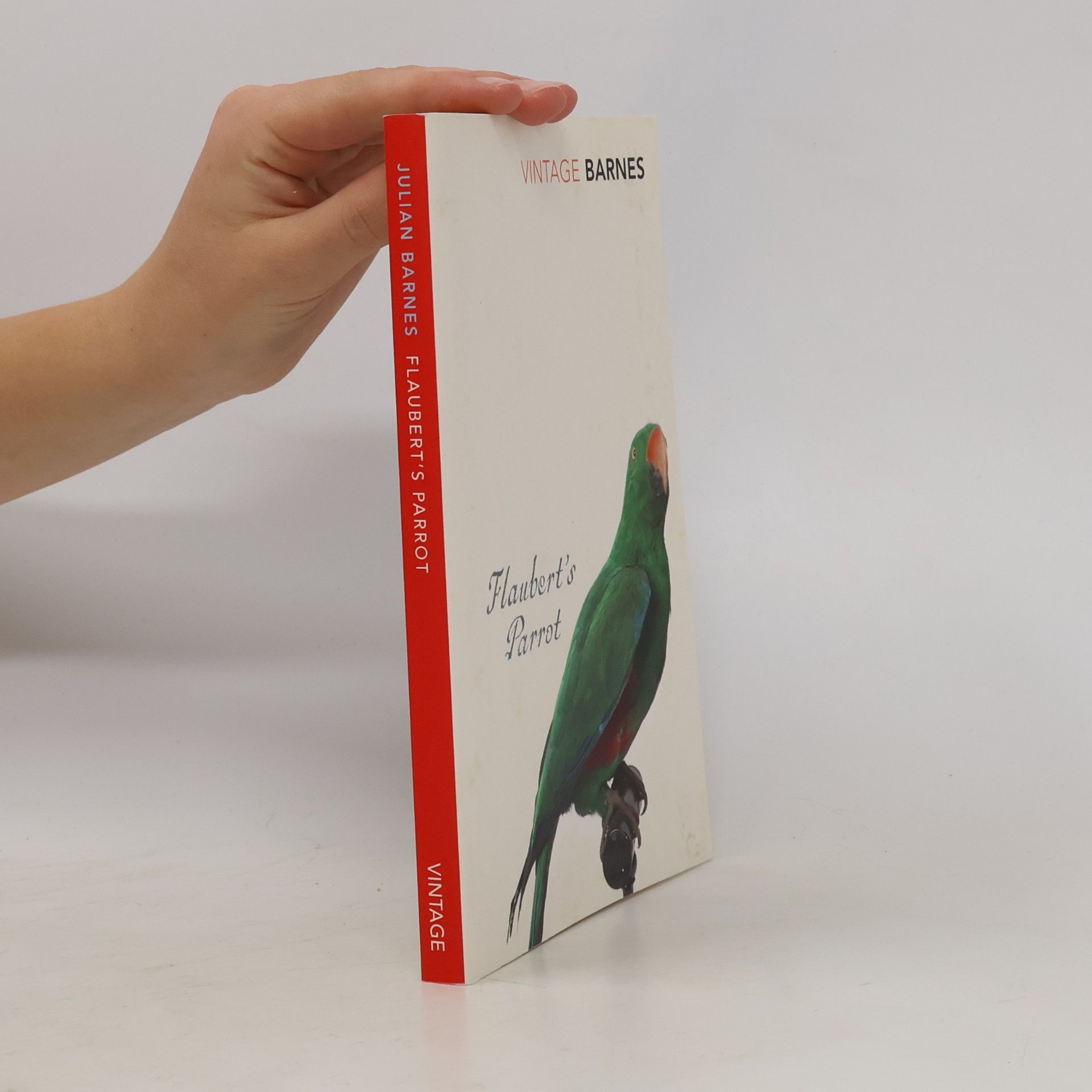 Julian Barnes Flaubert's Parrot
