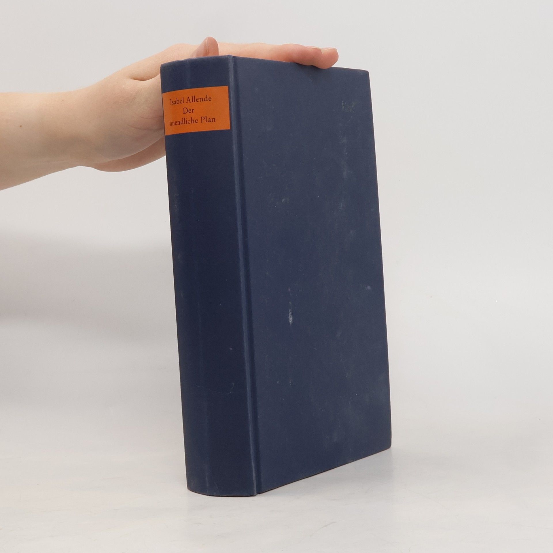 Isabel Allende Der unendliche Plan