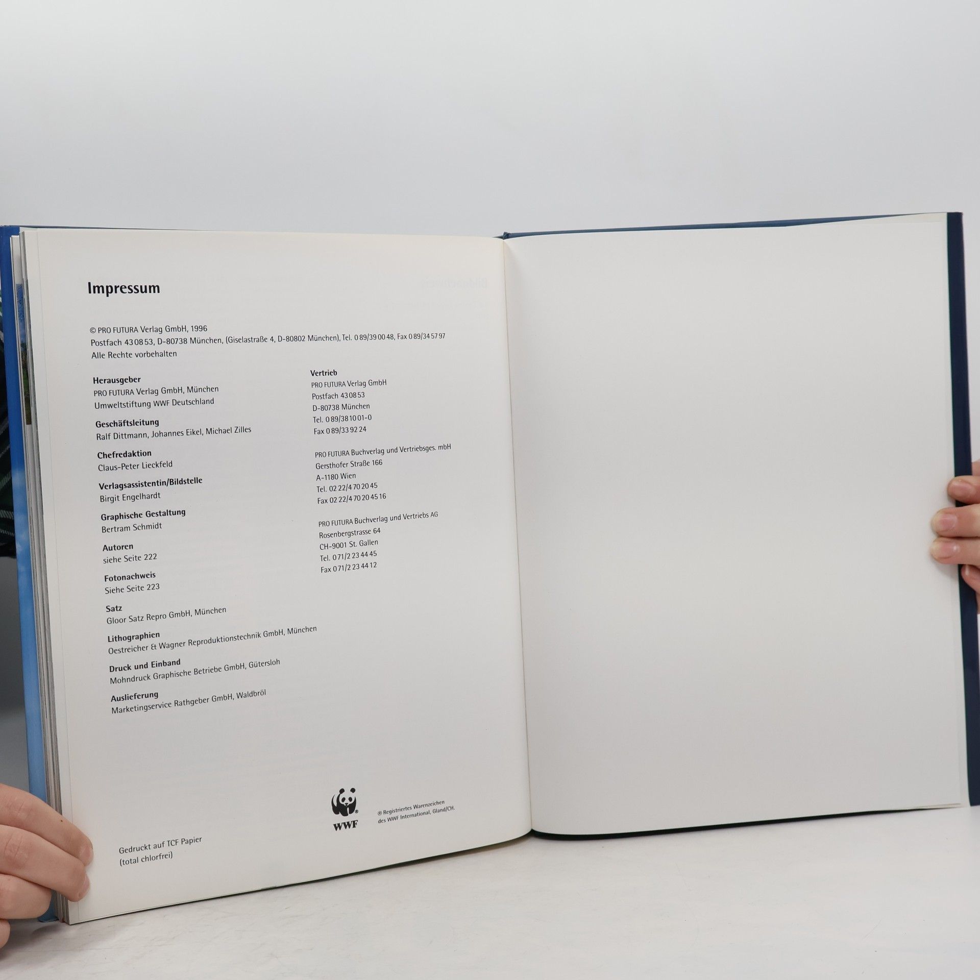 Autorenkollektiv Die Statik der Träume