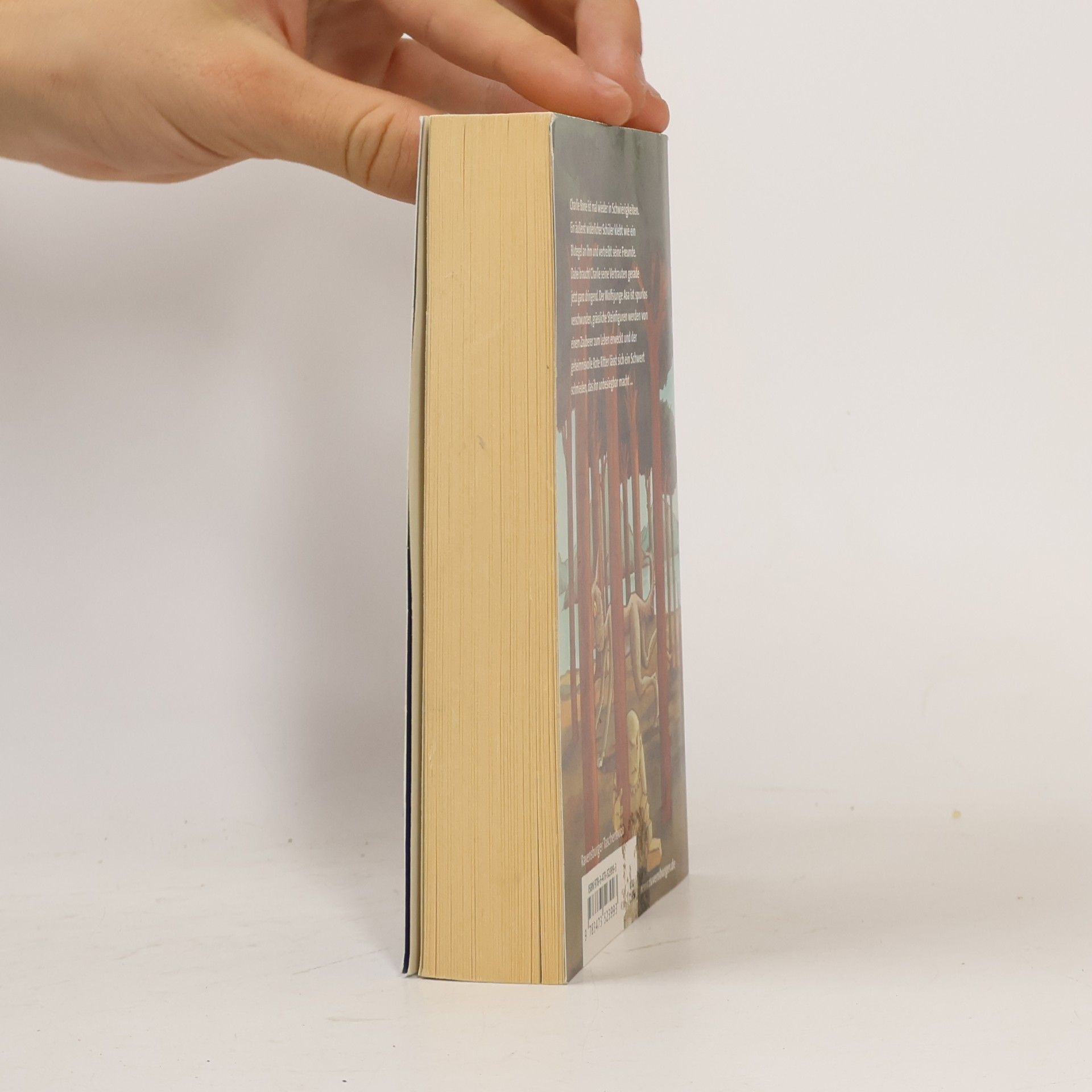 Jenny Nimmo Charlie Bone und das magische Schwert