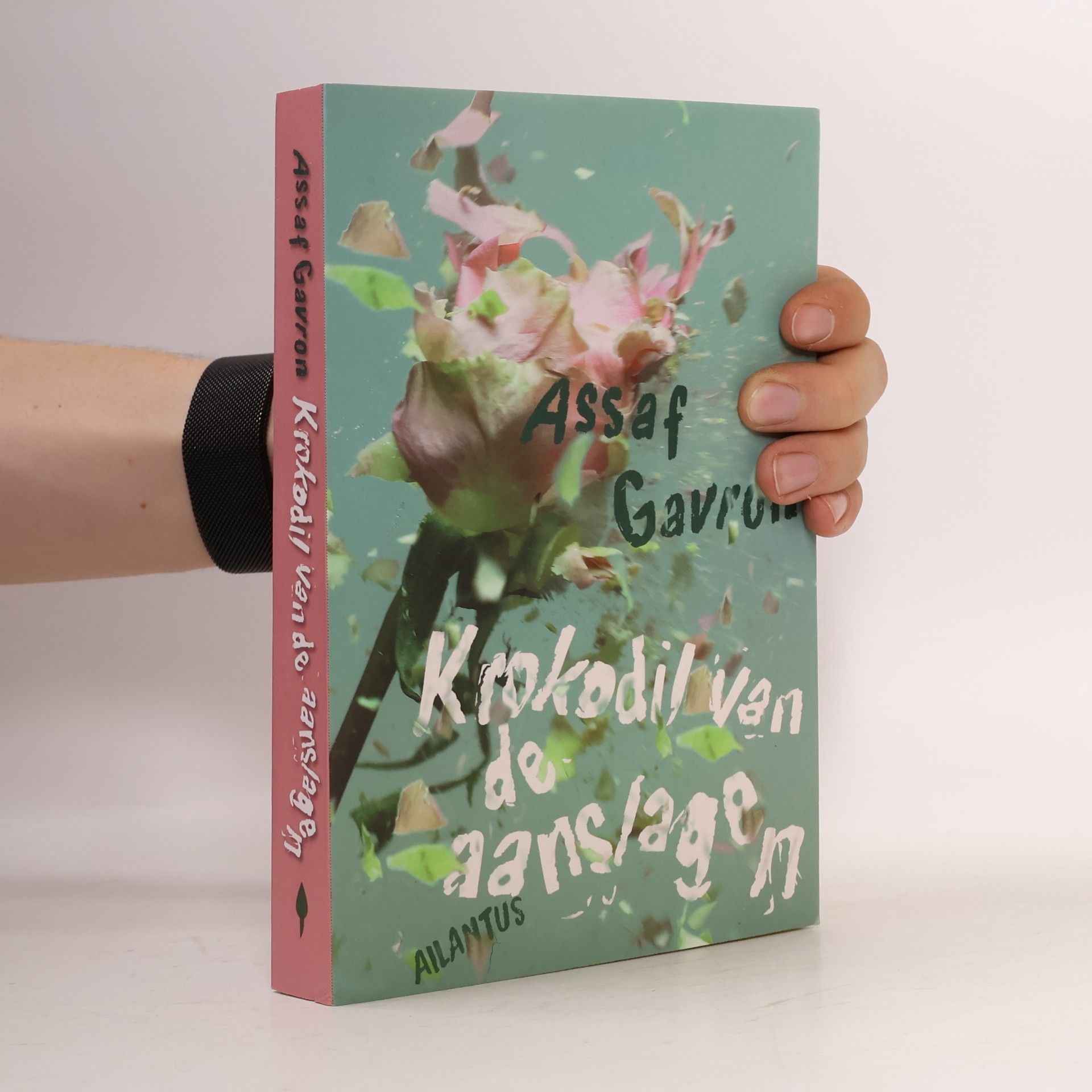 Krokodil van de aanslagen