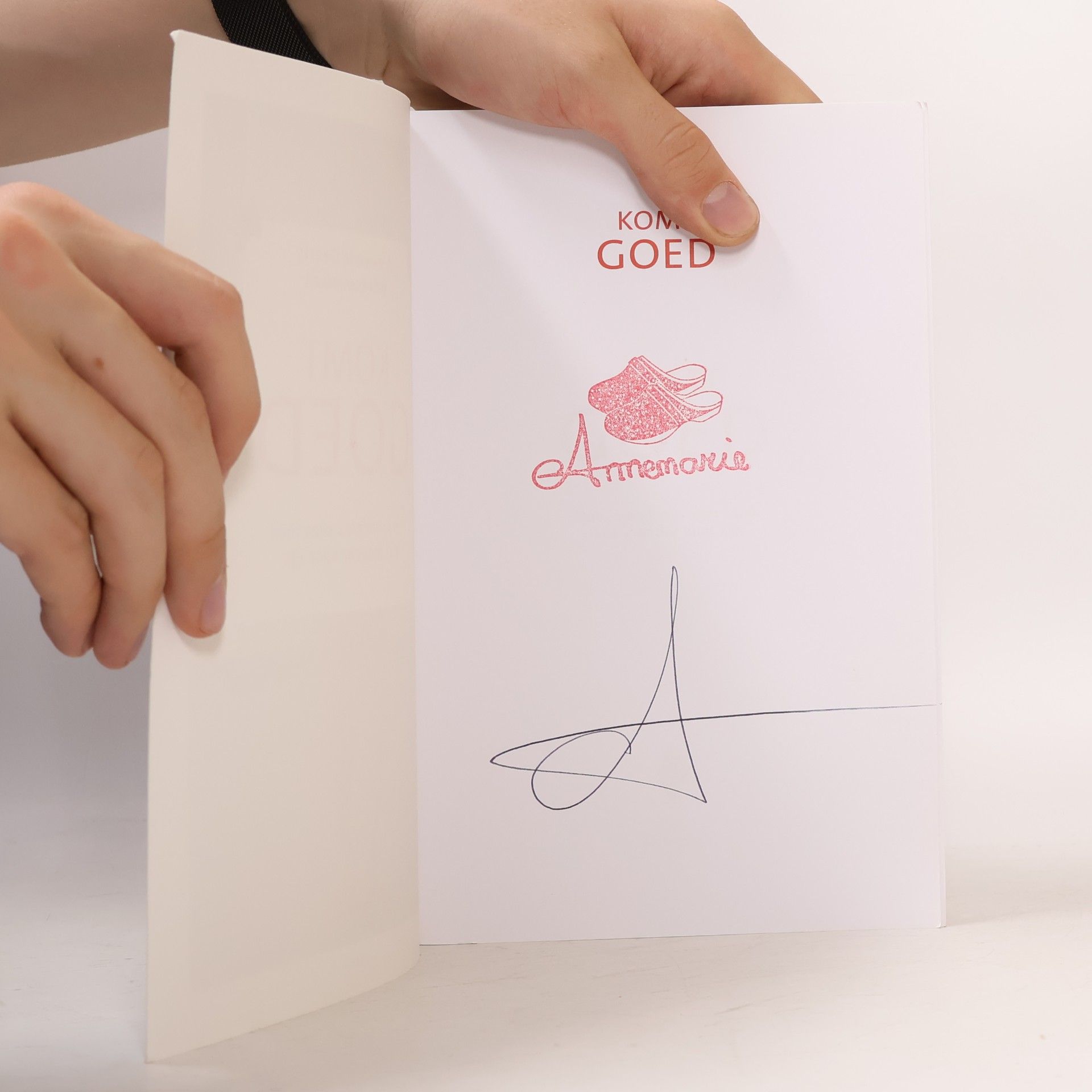 Annemarie Geerts Komt goed