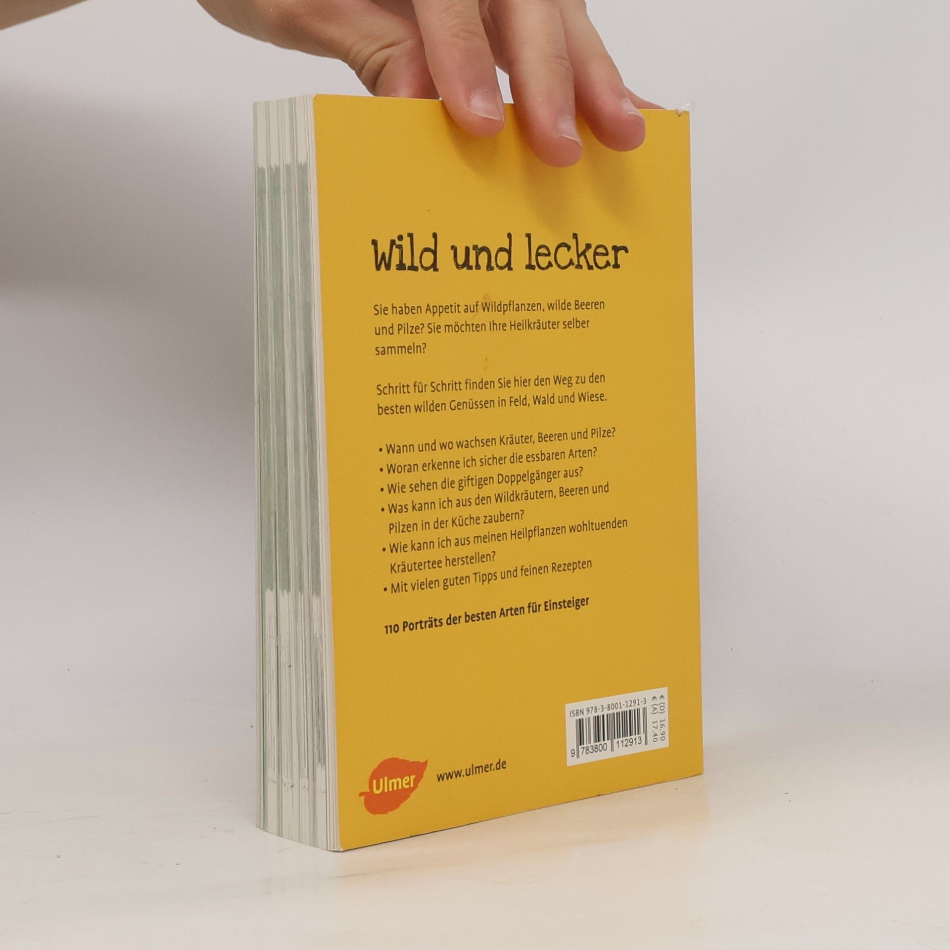 Christine Schneider Wild- und Heilkräuter, Beeren & Pilze finden