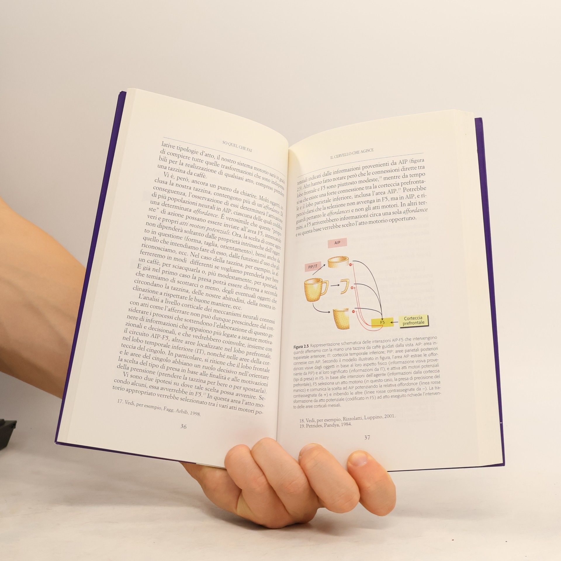 Giacomo Rizzolatti Scienza e idee - 143: So quel che fai. Il cervello che agisce e i neuroni specchio