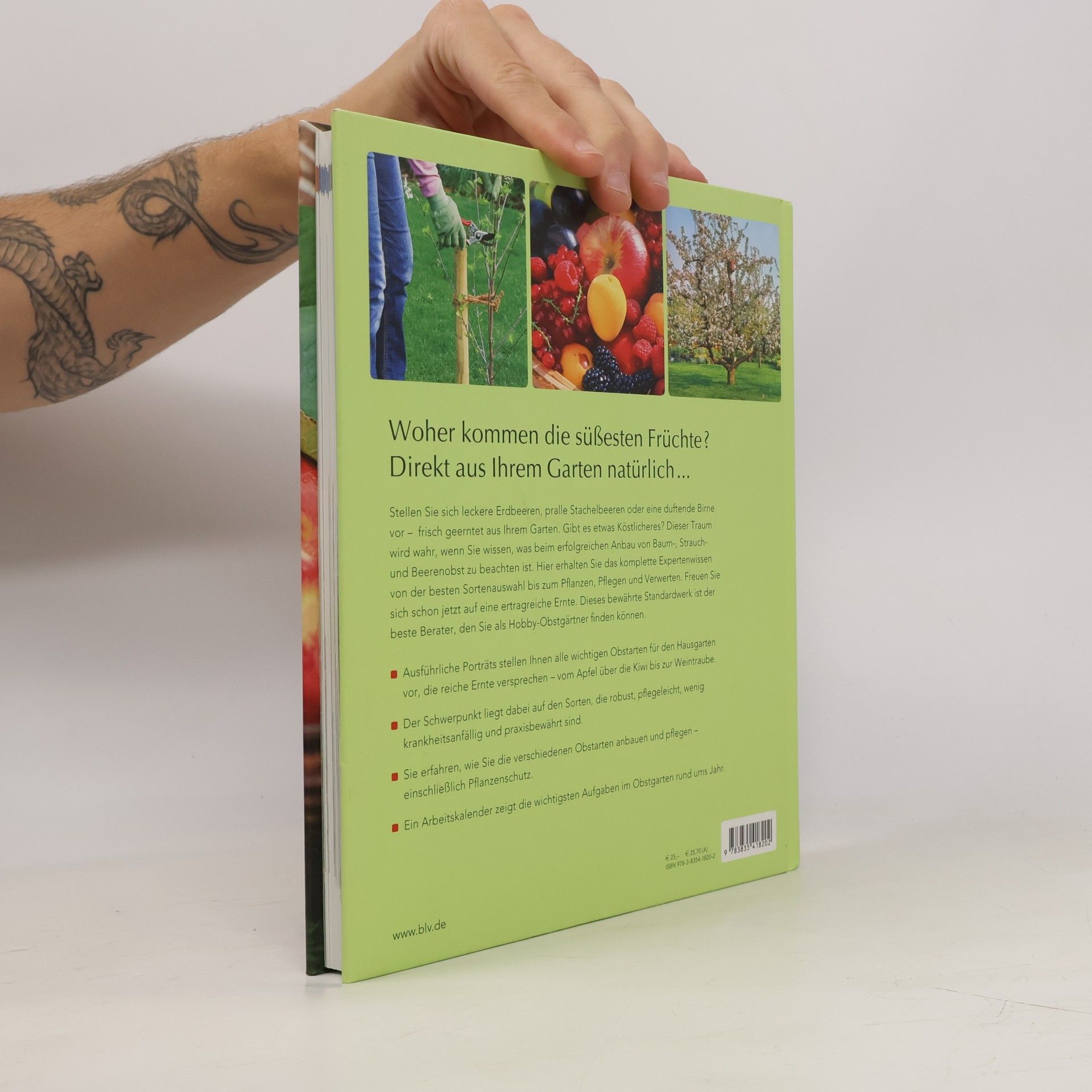 Martin Stangl Das BLV Handbuch Obst