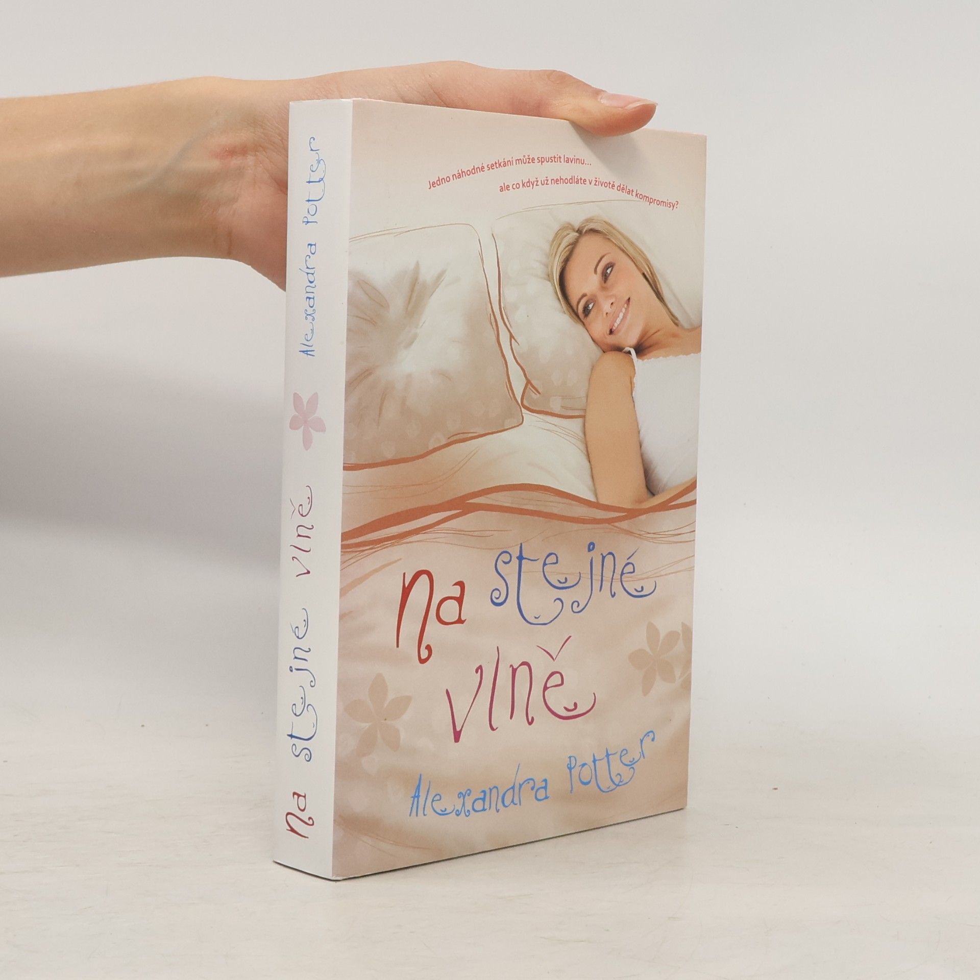 Alexandra Potter Na stejné vlně