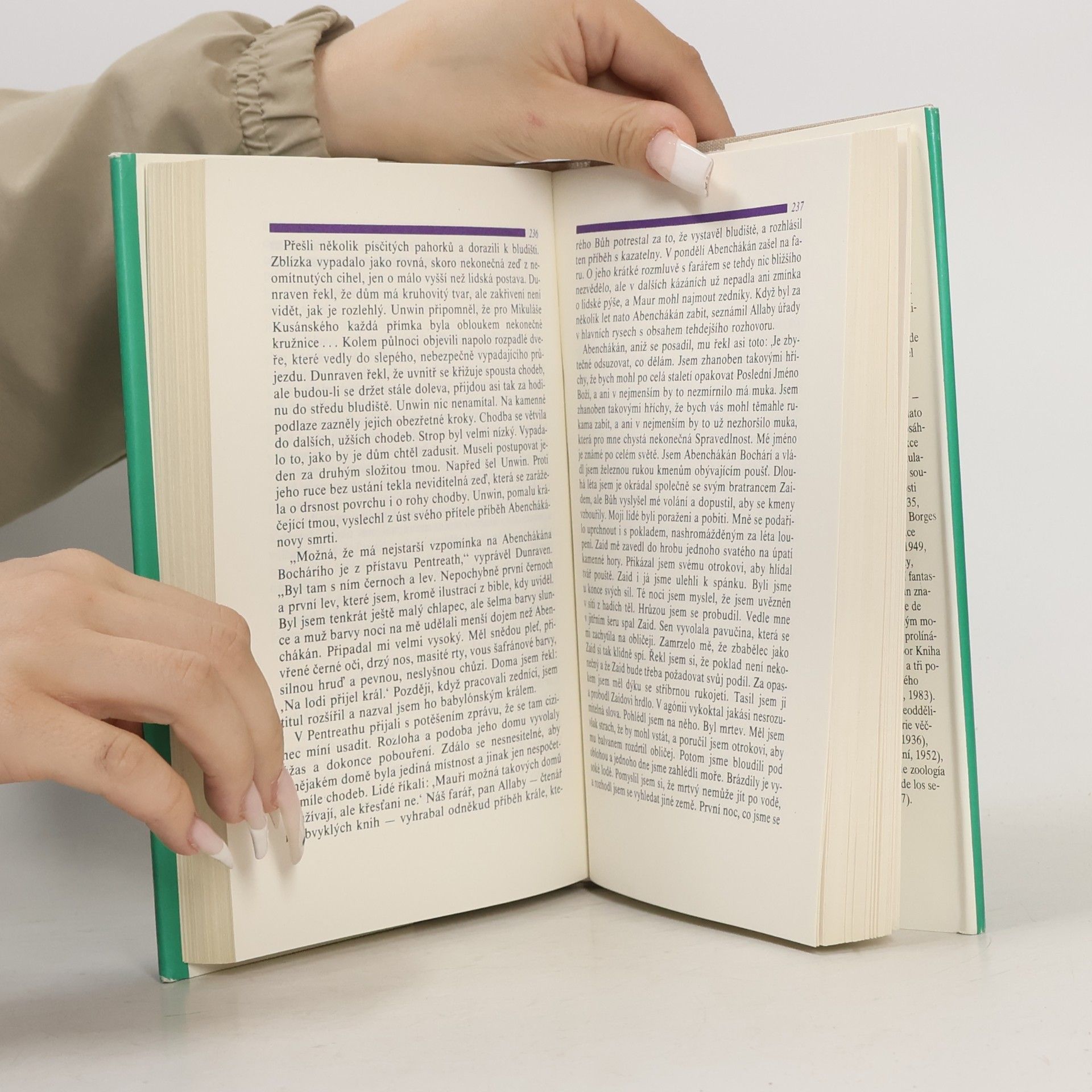 Jorge Luis Borges Zrcadlo a maska