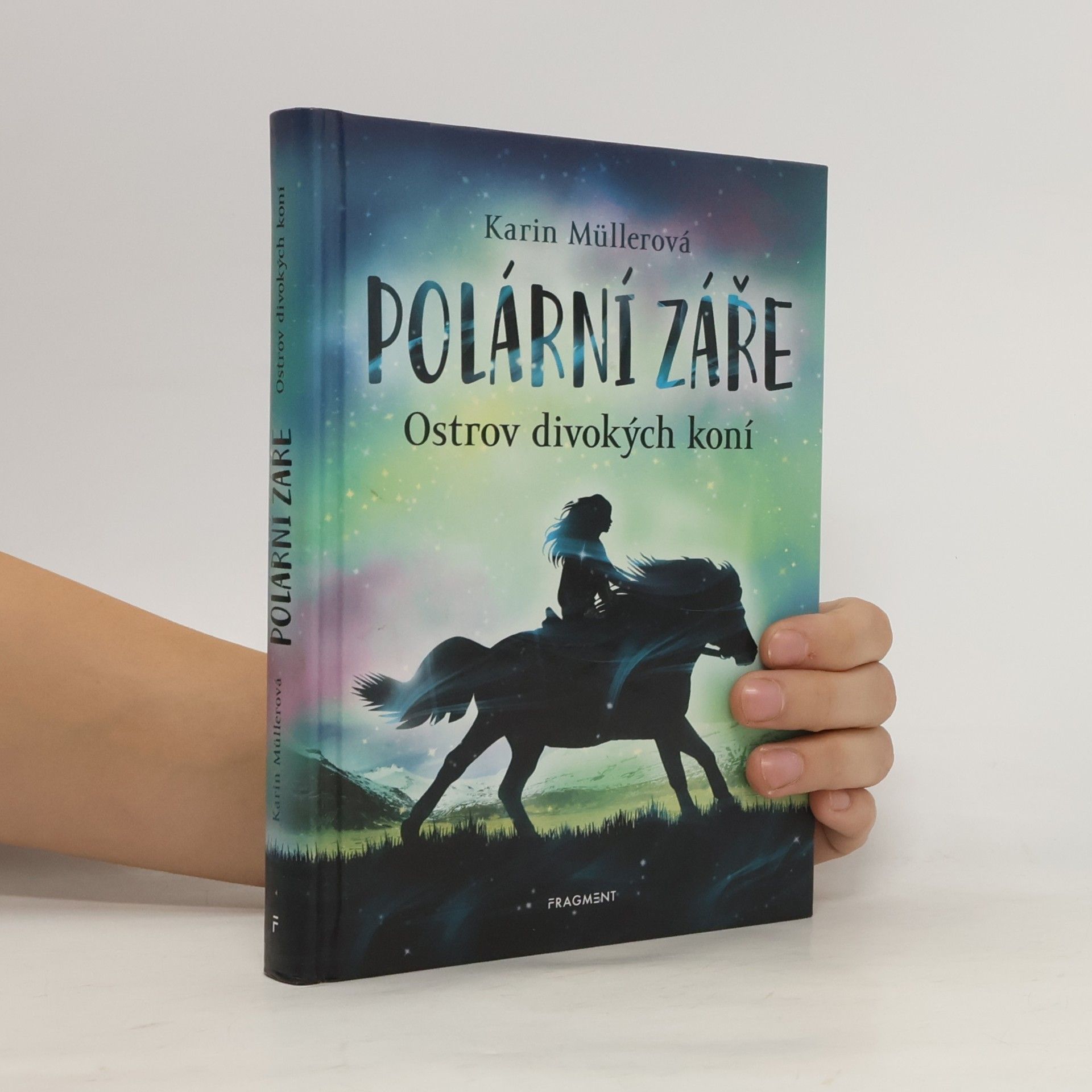 Karin Müller Polární záře. Ostrov divokých koní