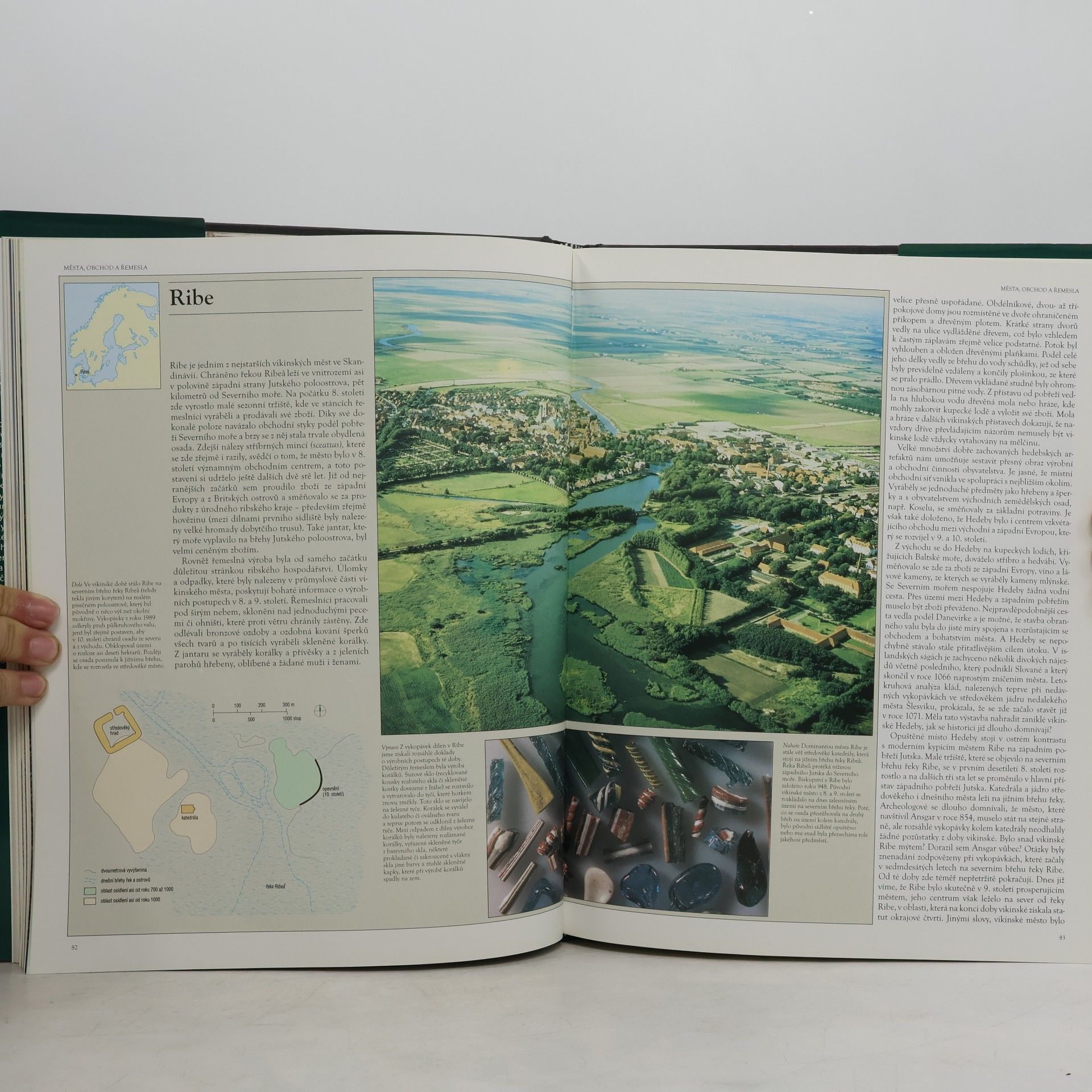 Colleen E. Batey Svět vikingů. Kulturní atlas