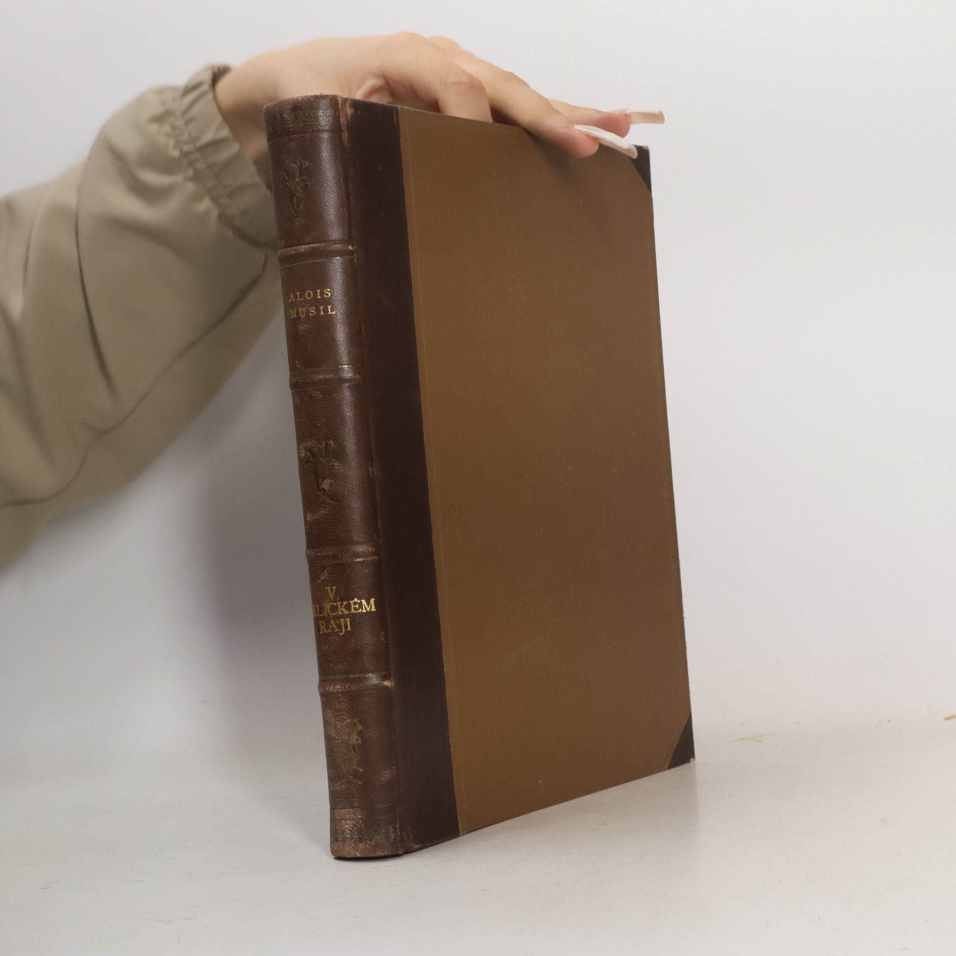 Alois Musil V biblickém ráji