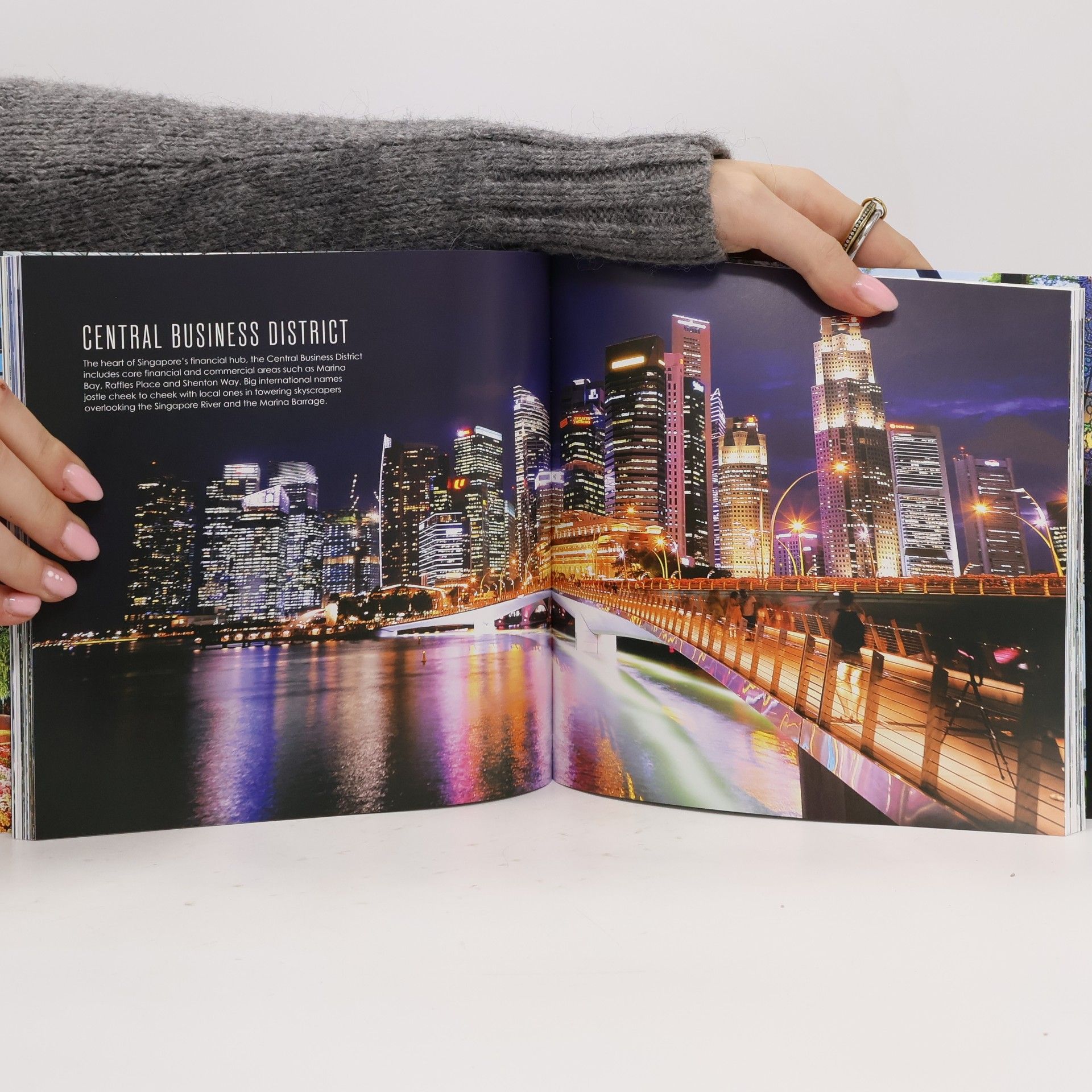 Bernard Kwang Meng Go Images of Singapore