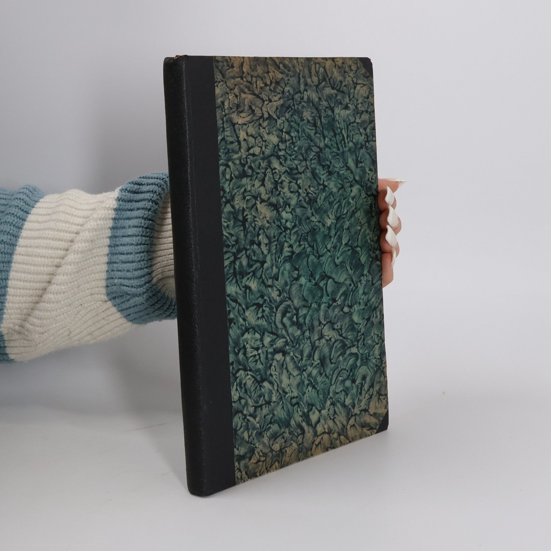 Milada Lesná-Krausová Dějiny literatury norské