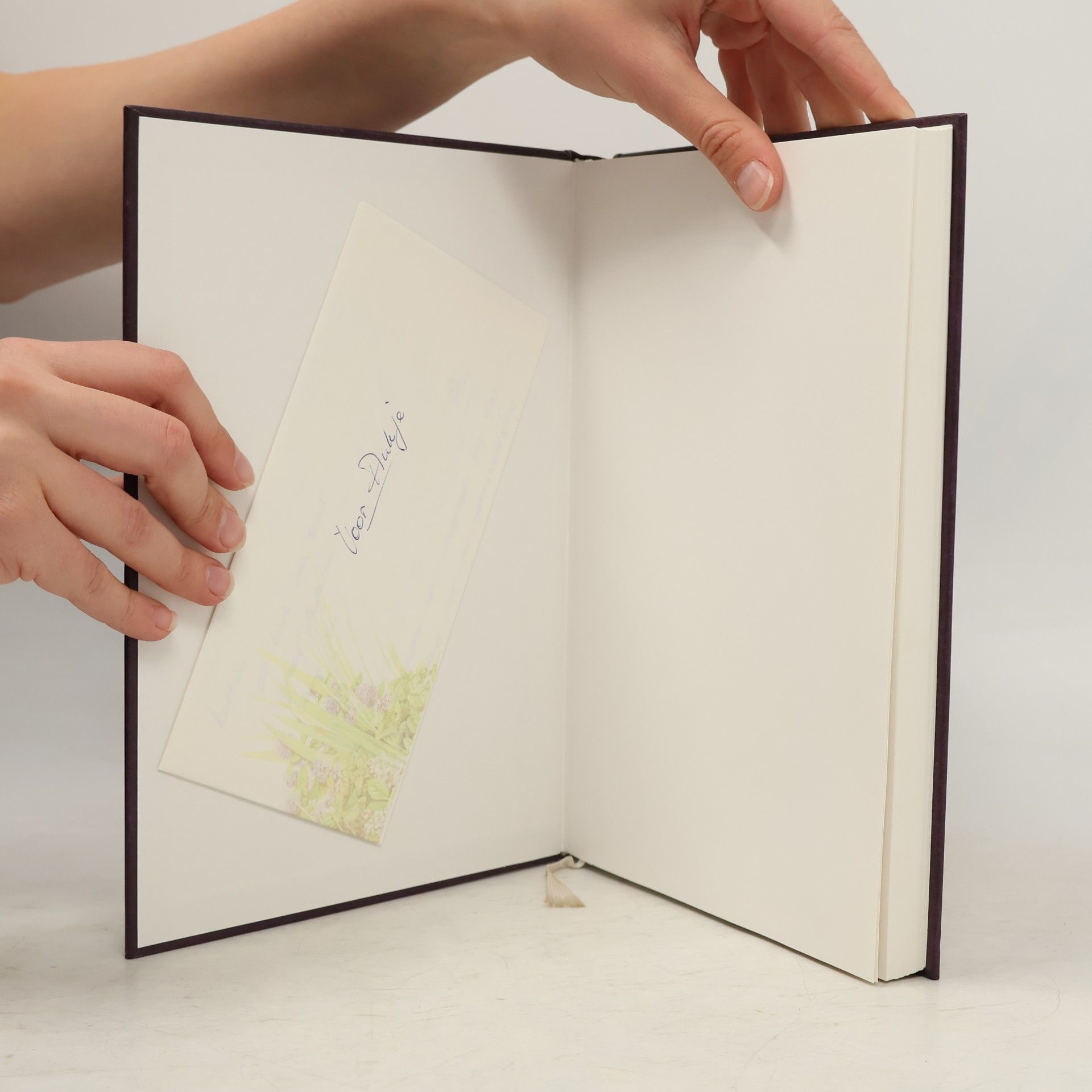 Sieneke Goorhuis-Brouwer Handboek Taalontwikkeling, Taalpathologie en Taaltherapie