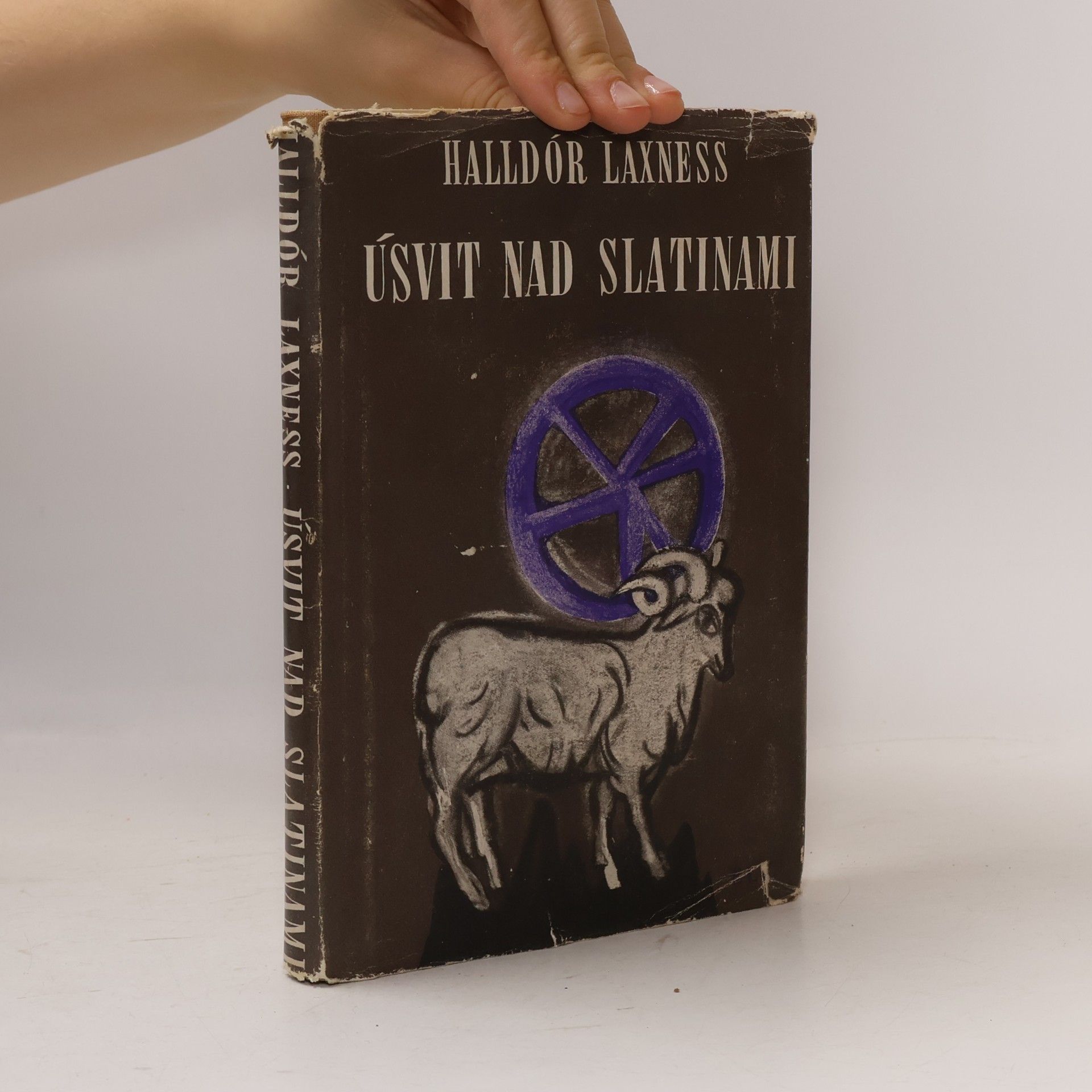 Úsvit nad slatinami