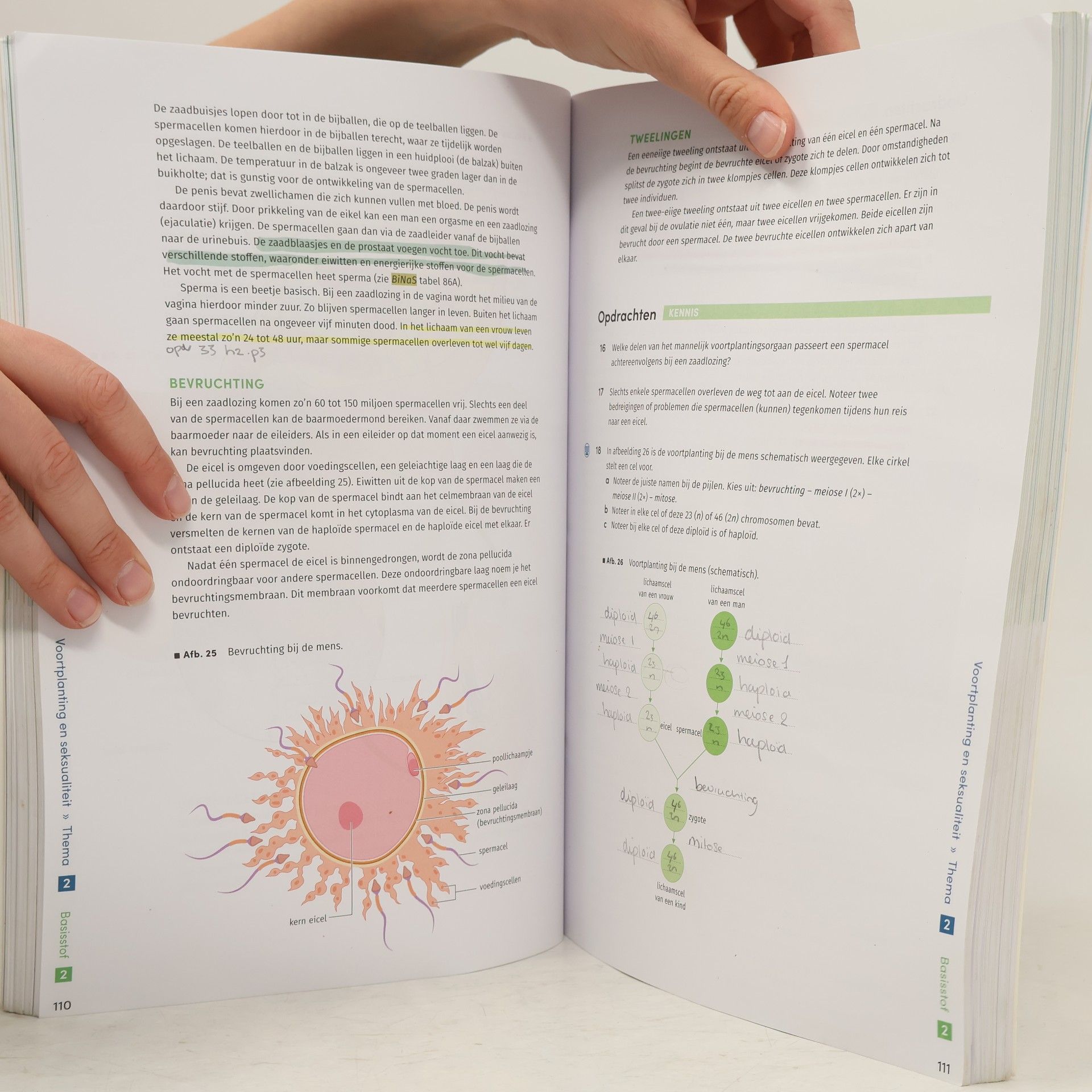 Bos 4A HAVO (Biologie voor jou)