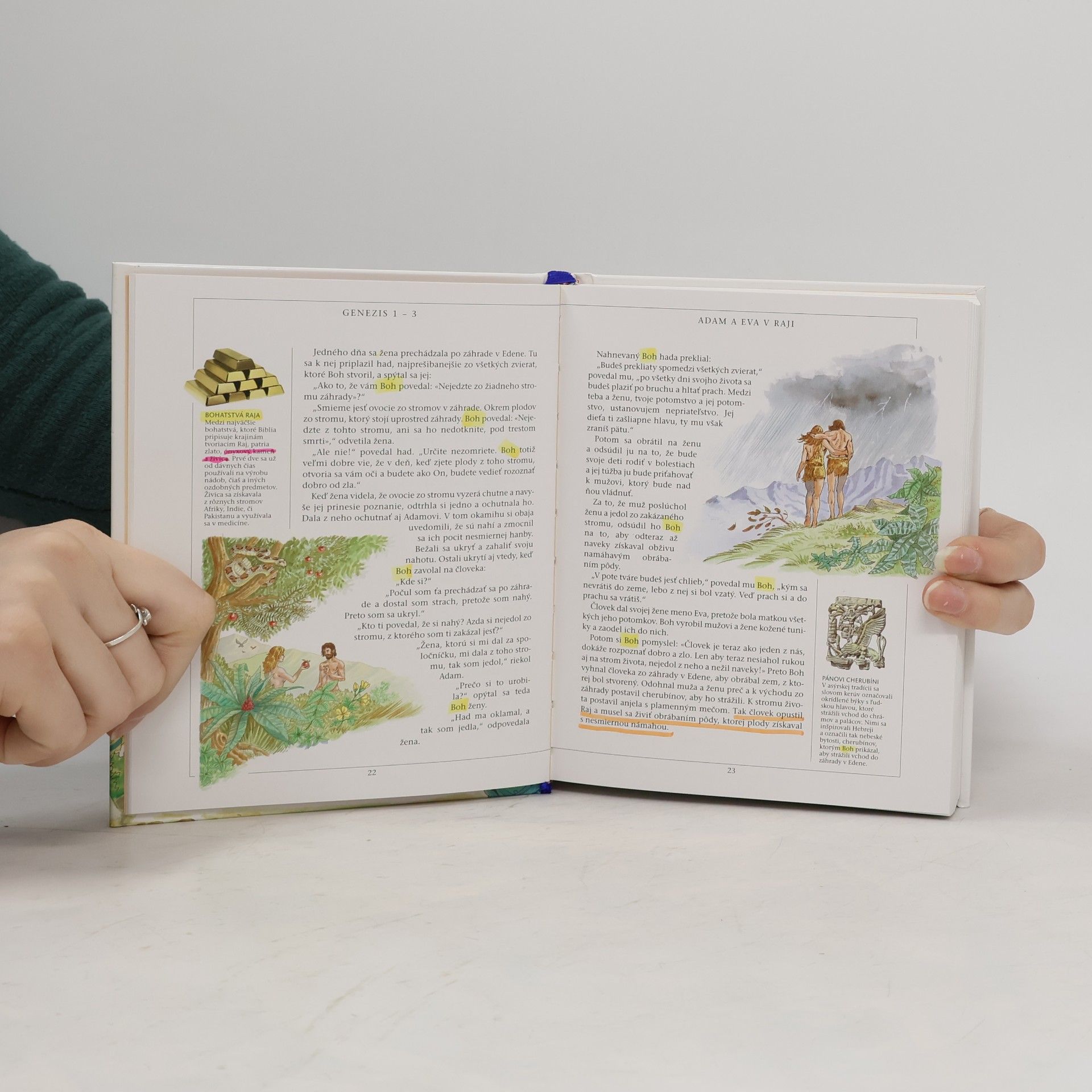 Autorenkollektiv Ilustrovaná Biblia pre mládež