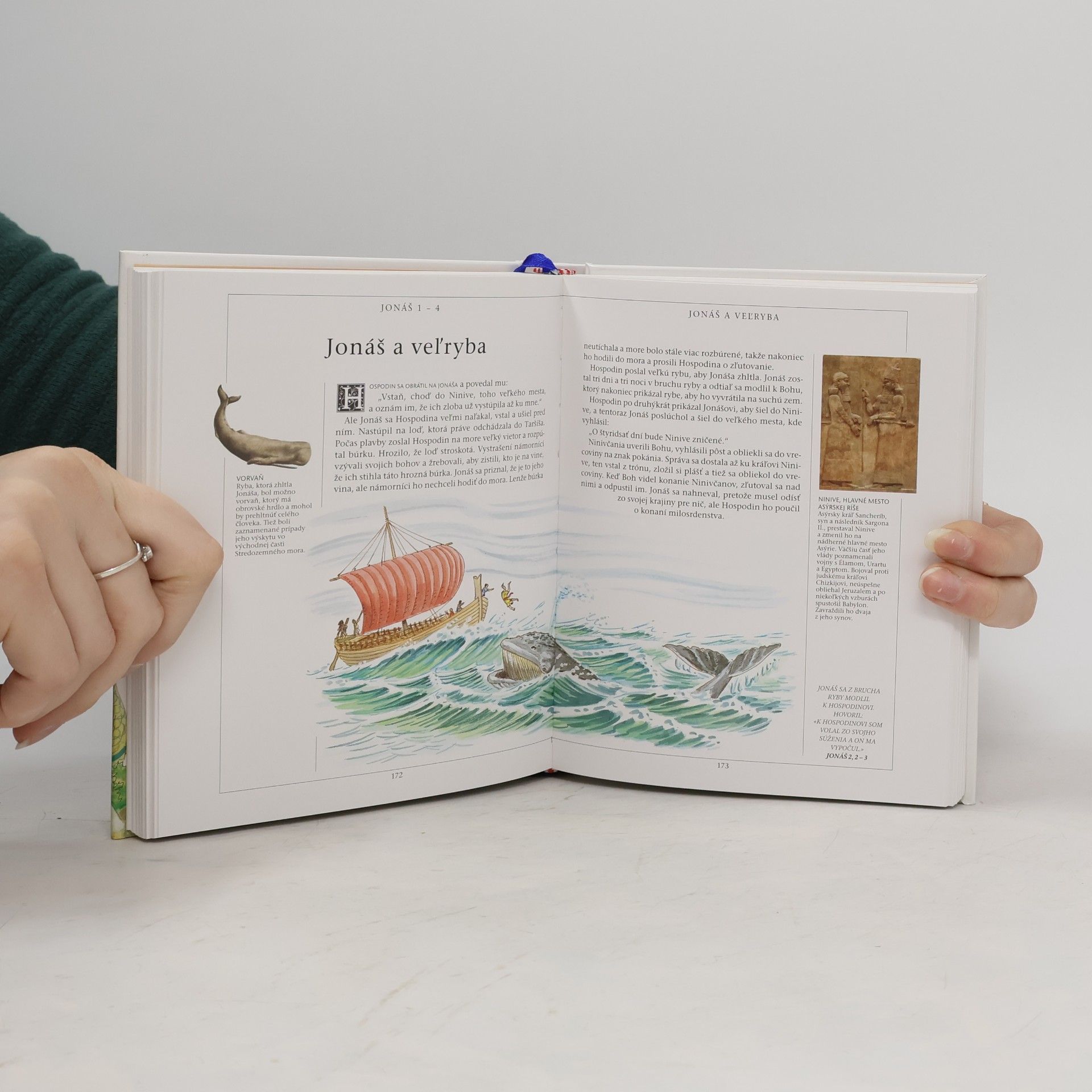 Autorenkollektiv Ilustrovaná Biblia pre mládež