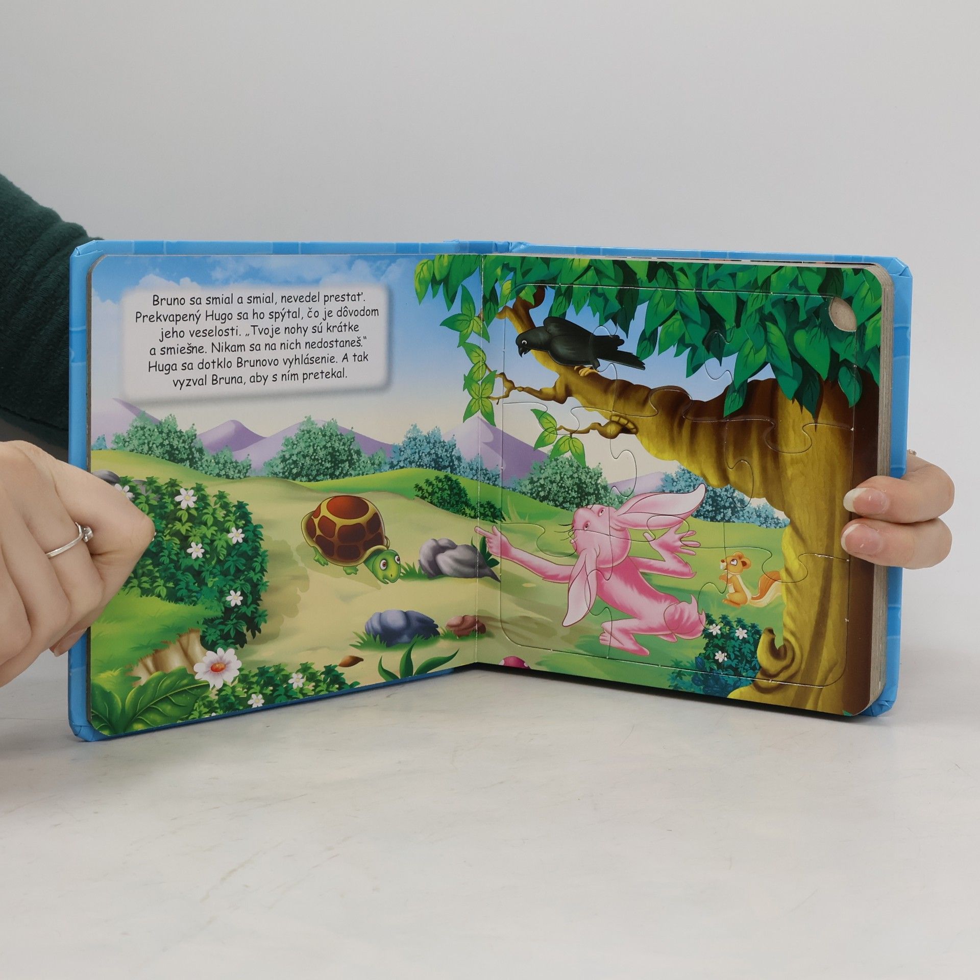 Autorenkollektiv Zajac a korytnačka puzzle