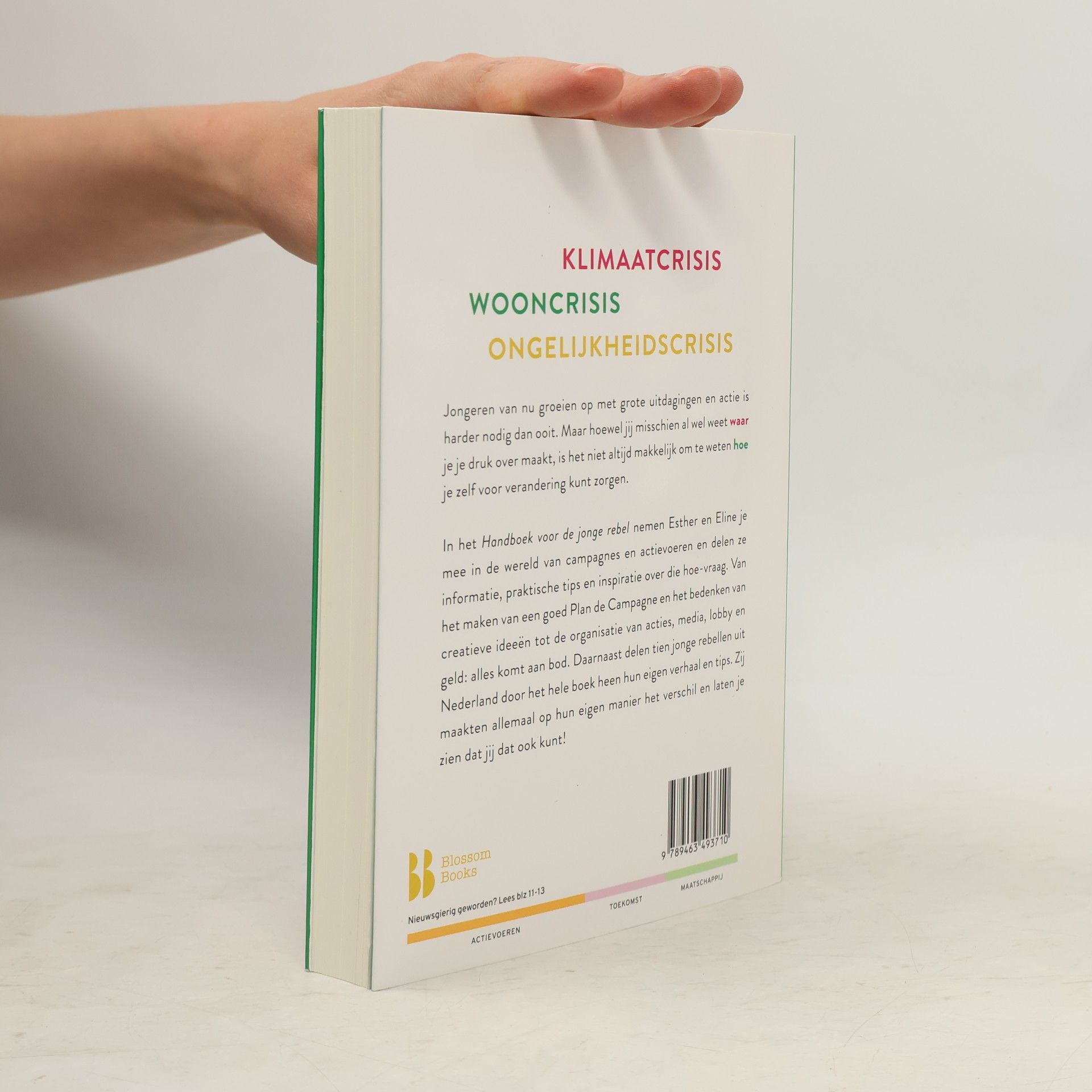 Esther Crabbendam Handboek voor de jonge rebel