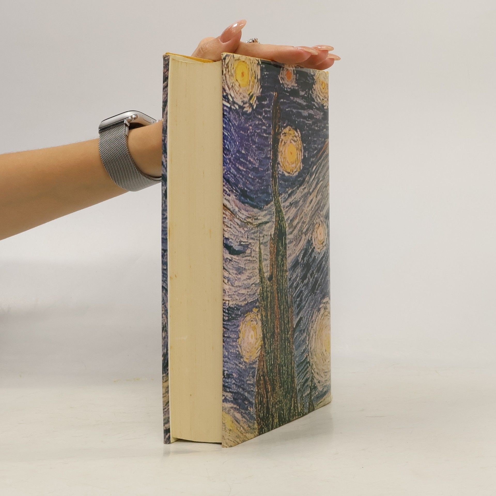 Irving Stone Vincent van Gogh