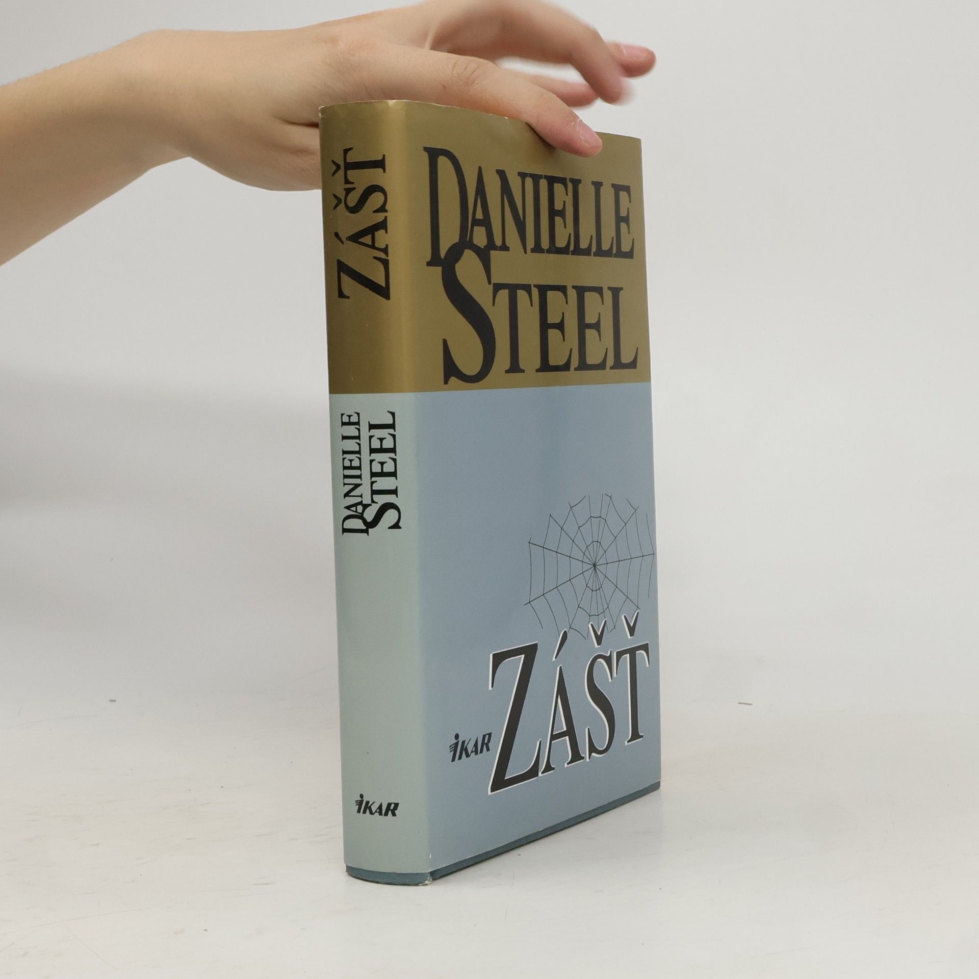 Danielle Steel Zášť
