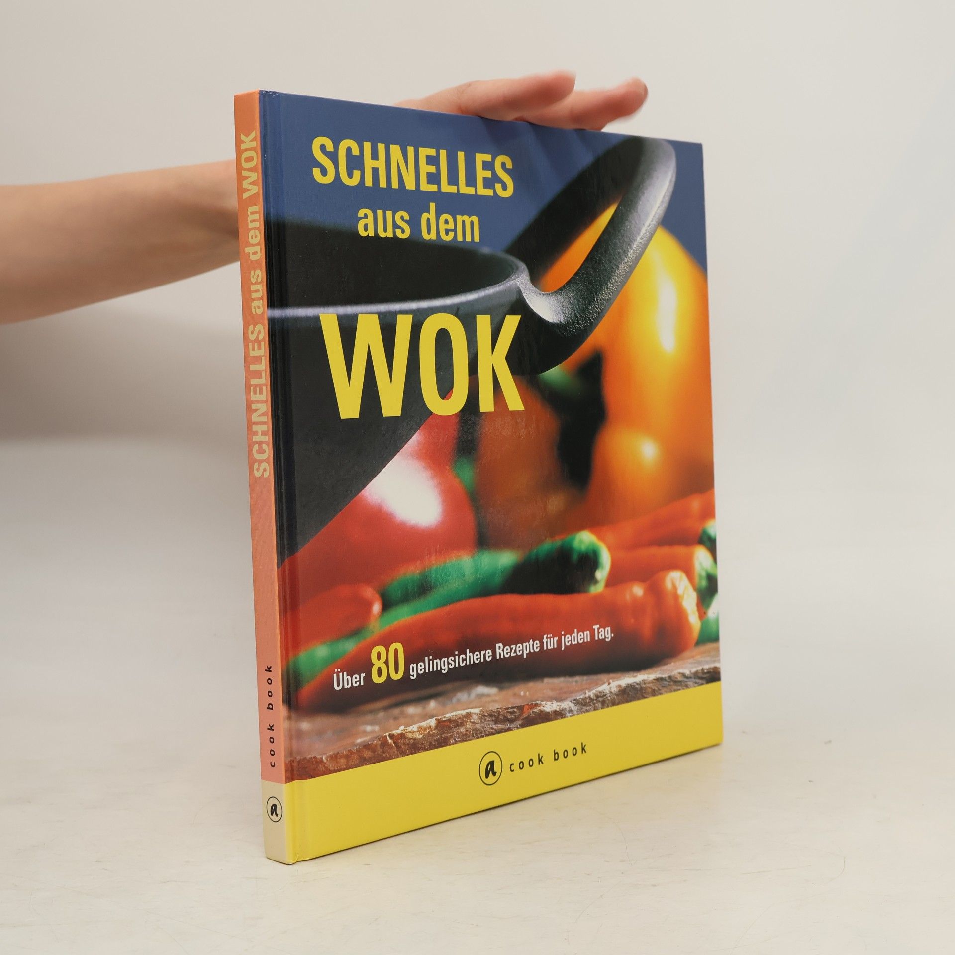 Kolektiv autorů Schnelles aus dem Wok
