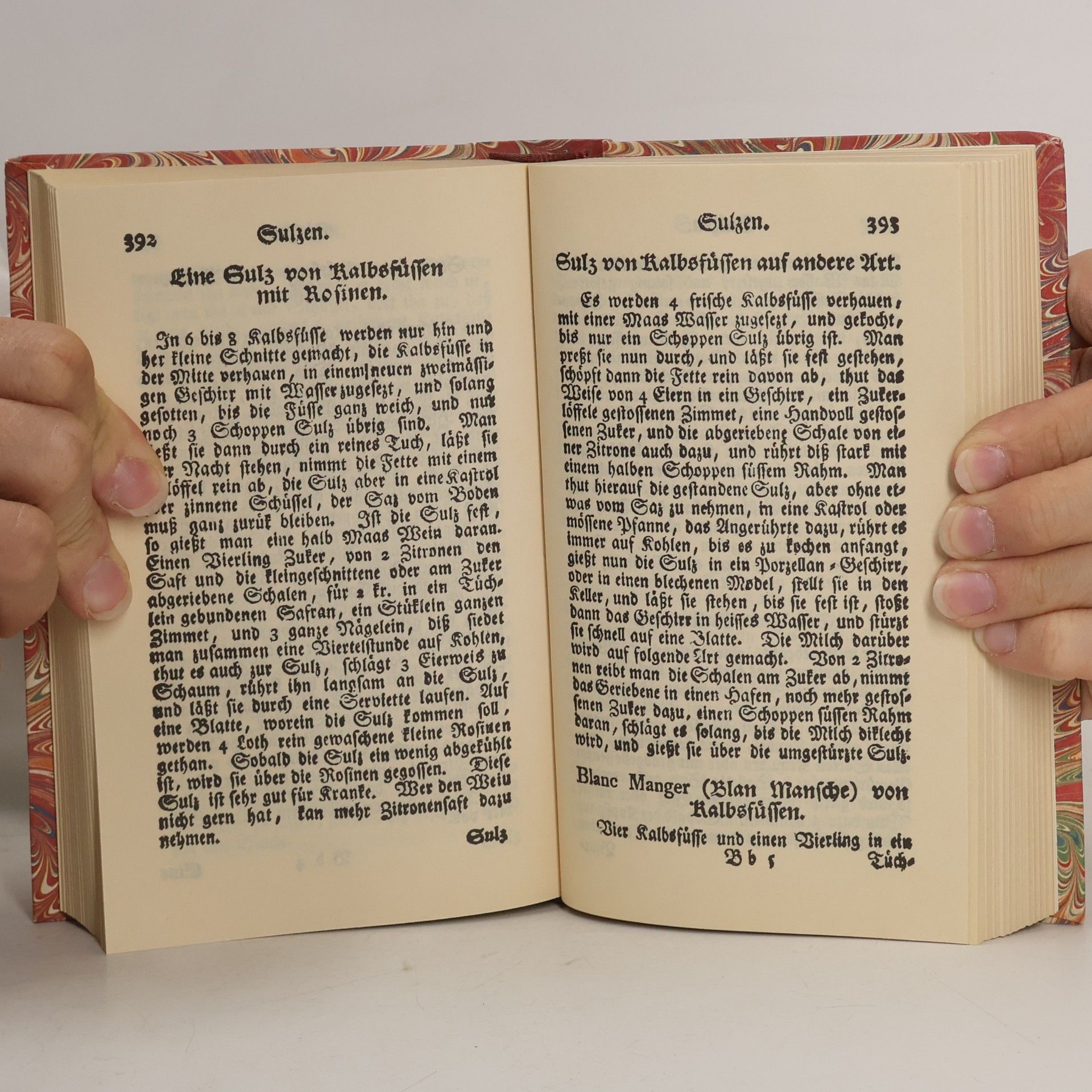 Friederike Luise Löffler Oekonomisches Handbuch für Frauenzimmer