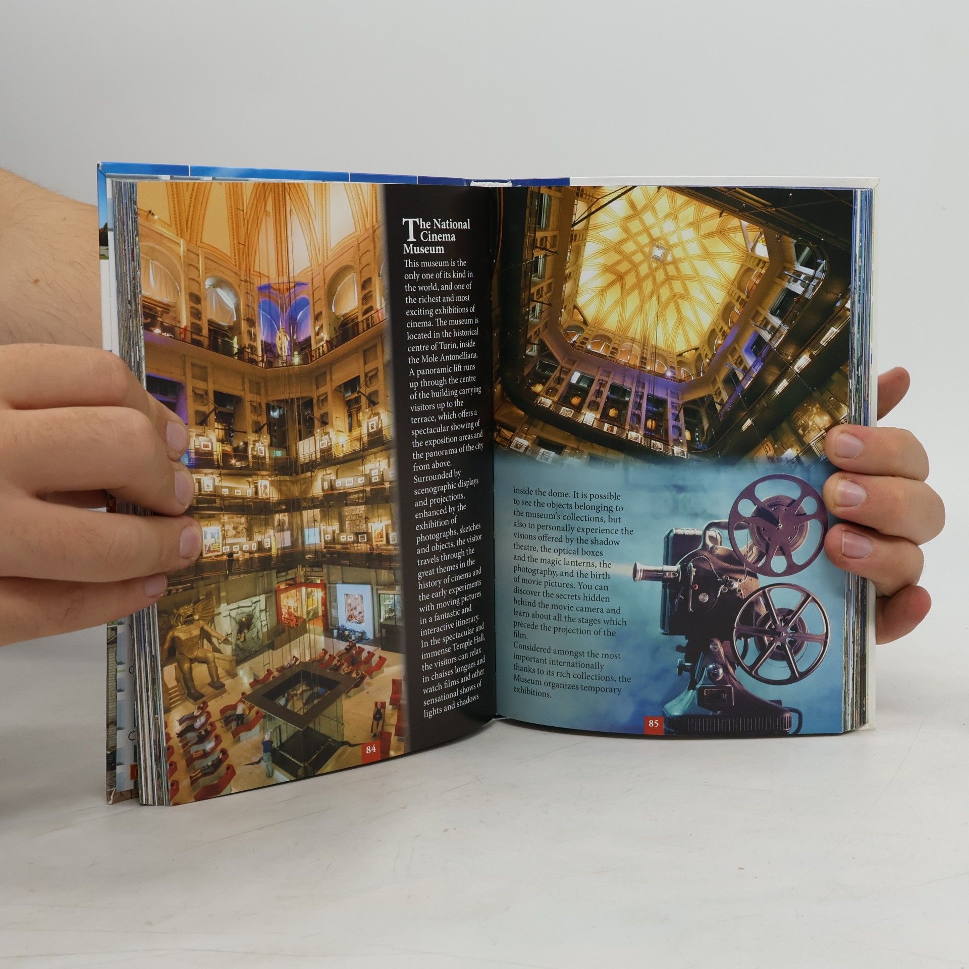 Patrizia Rosso Turin - A Guide to the City