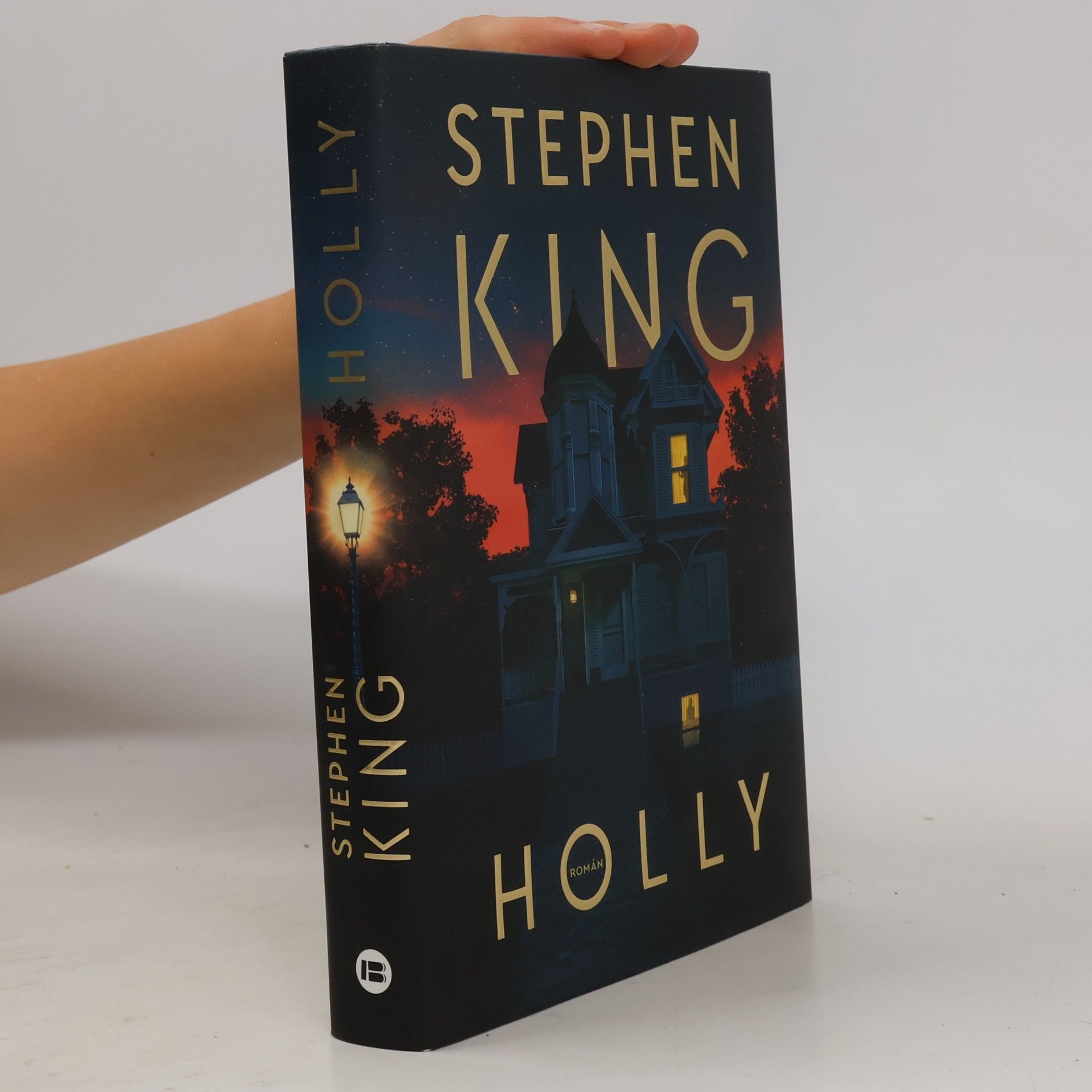 Stephen King Holly