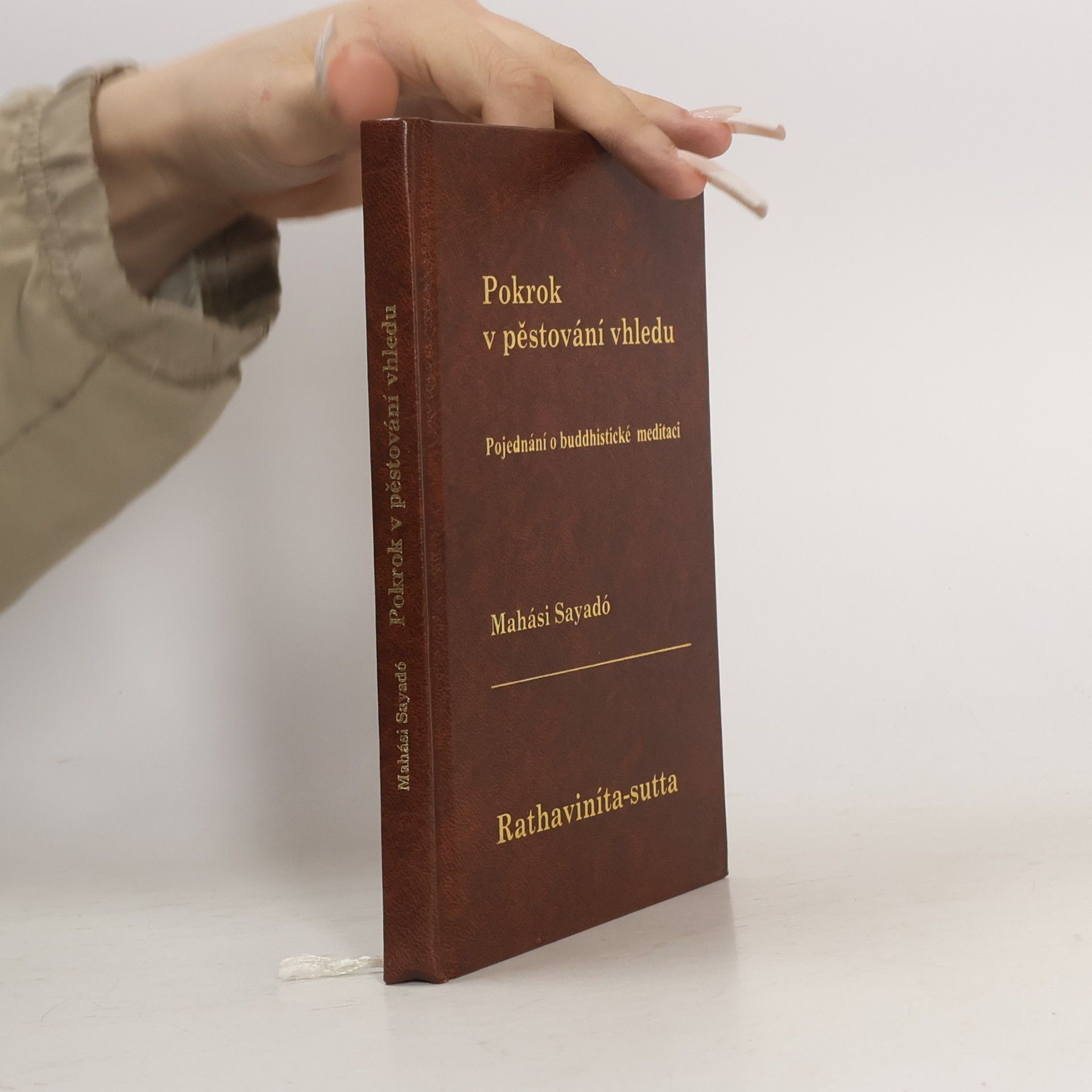 Mahasi Sayadaw Pokrok v pěstování vhledu. Moderní pojednání o buddhistické satipatthána meditaci