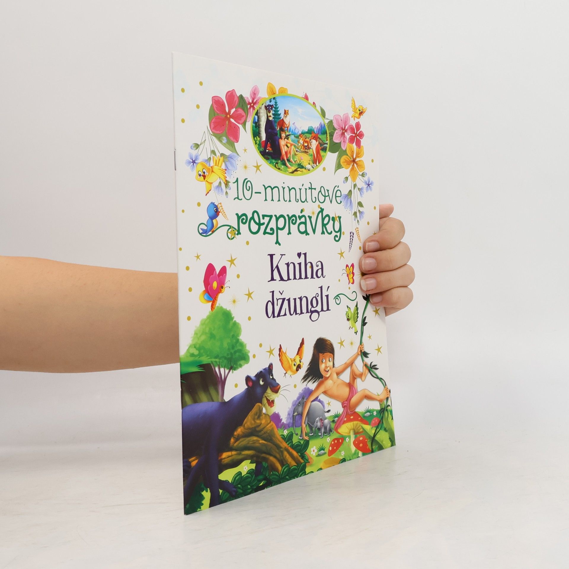 Kolektiv autorů Kniha džunglí