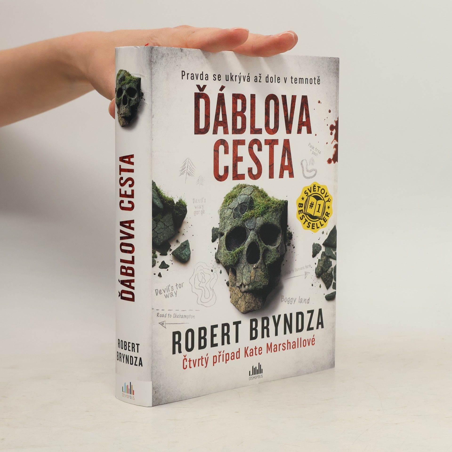 Robert Bryndza Ďáblova cesta